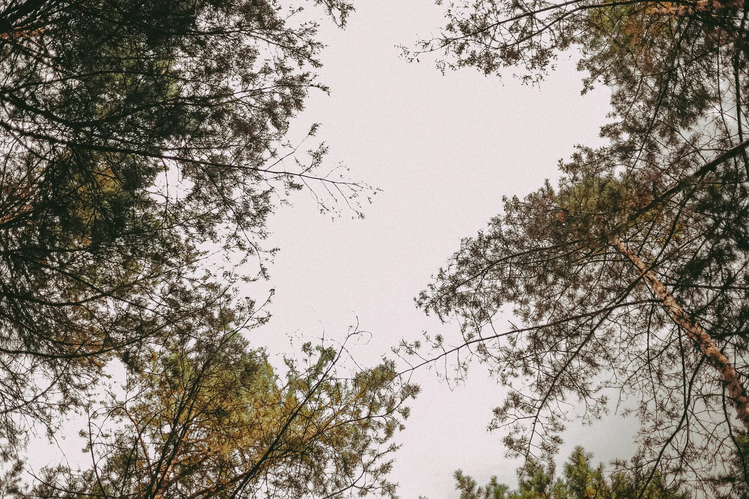 Алла и Артём. Фотограф в городе Самара Александр Гераськин