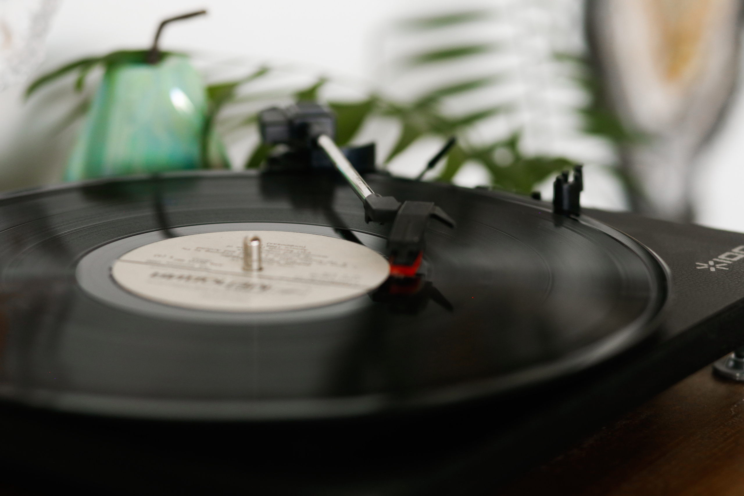 Risui mechtu. Амина Абасова — индивидуальный фотограф в Махачкале, Дагестан