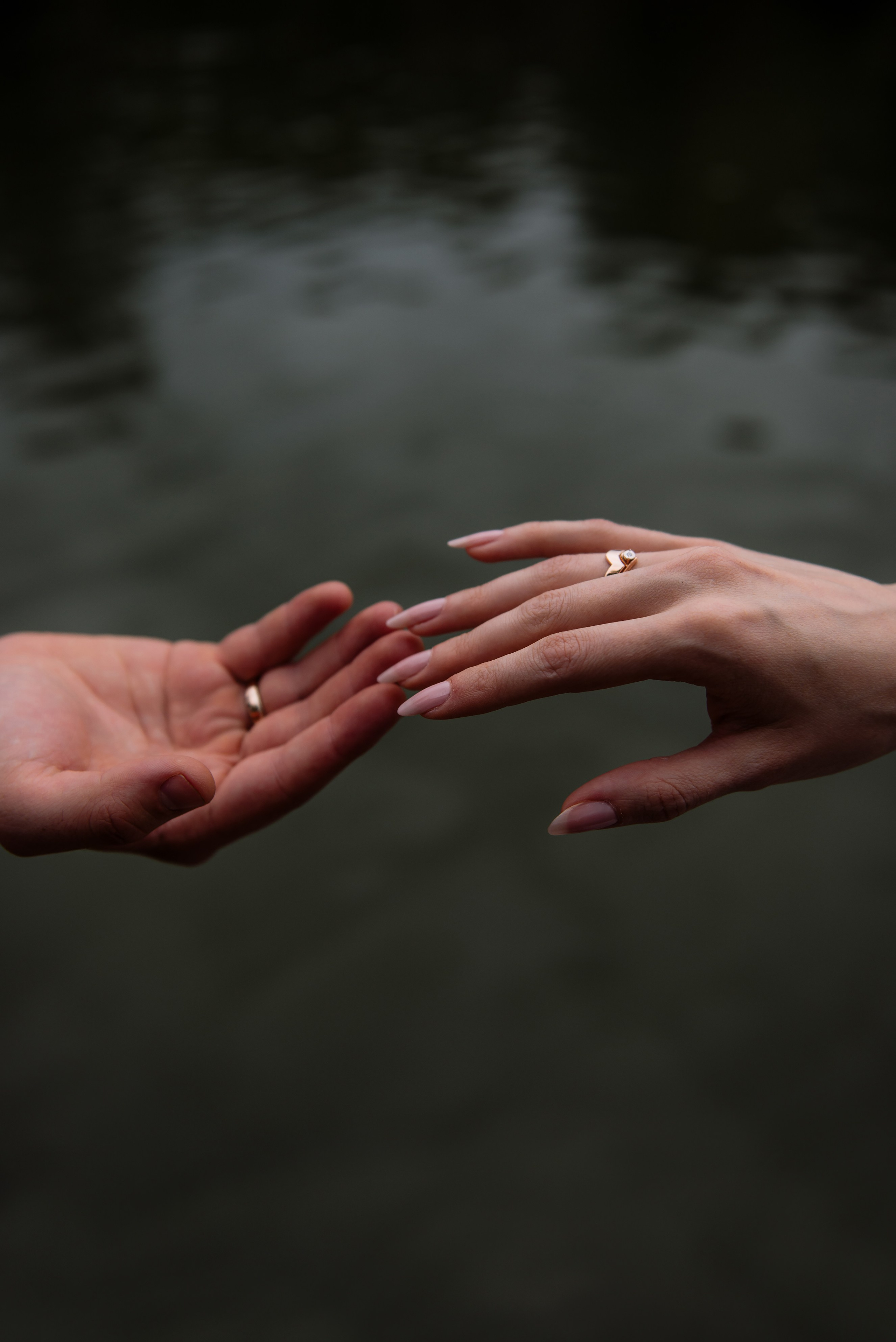 Свадьба музыкантов. Фотограф в Москве Алёна Степутенко