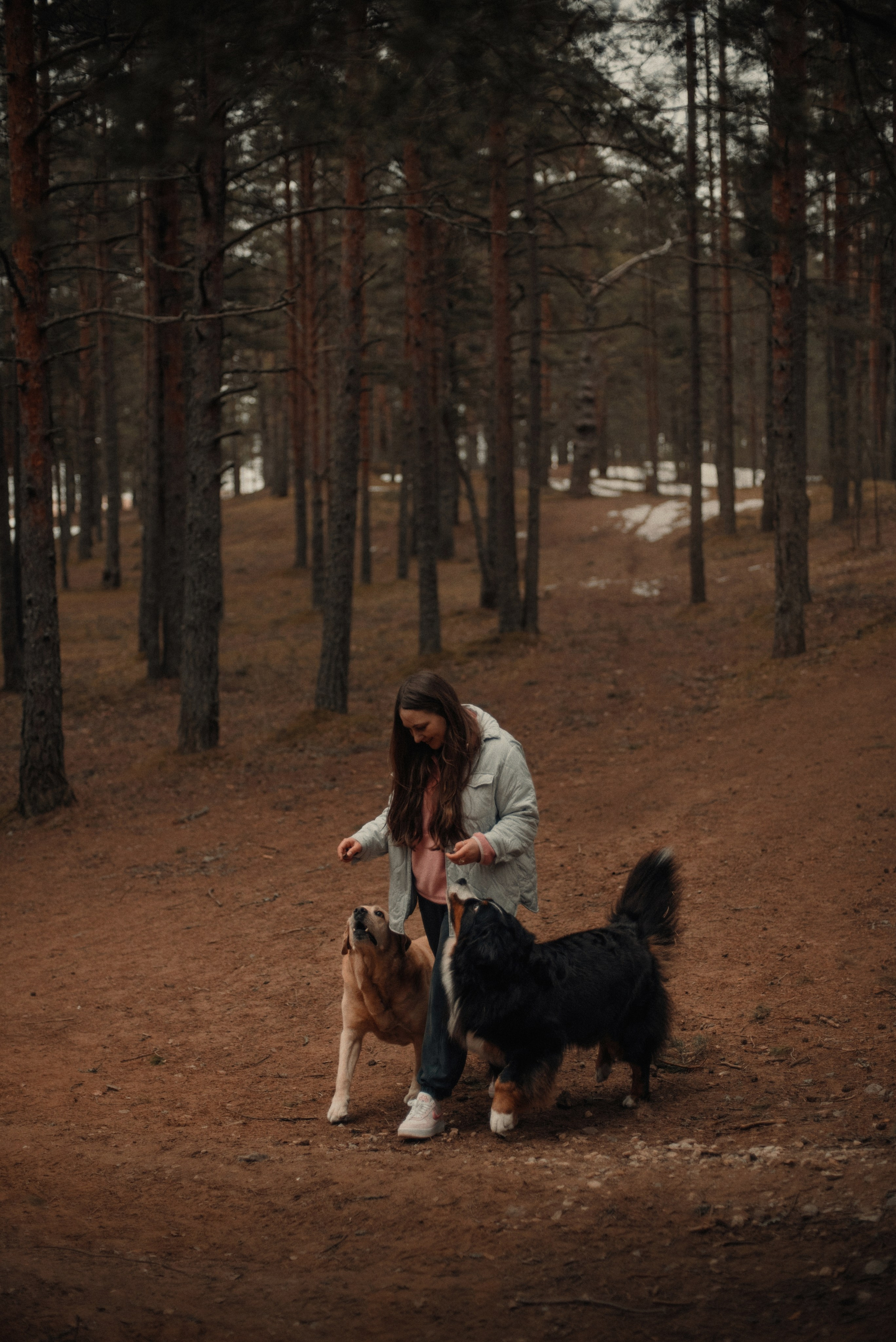 Прогулка: берн Пума, Фрэнк и Юля в Питере. Портфолио