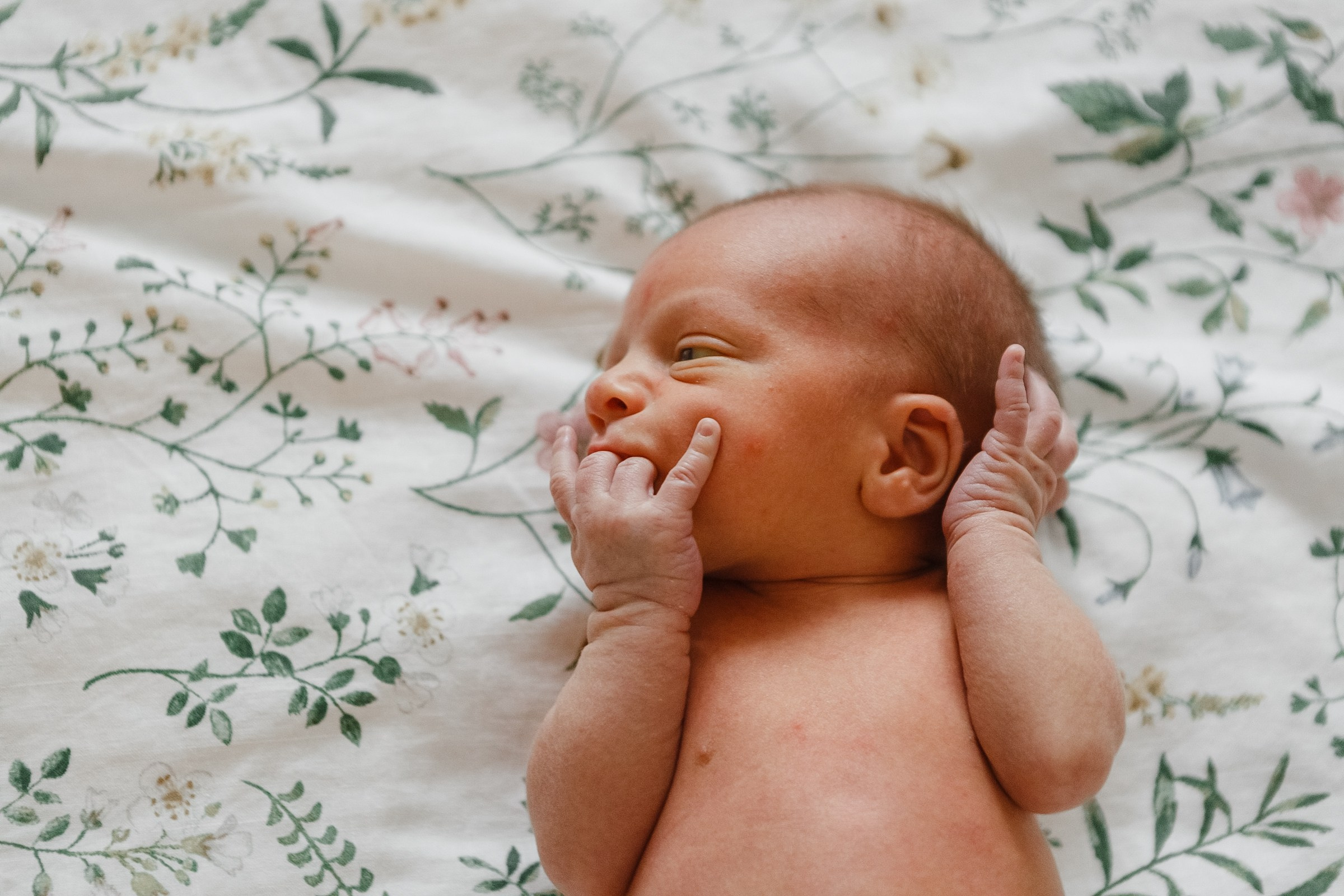 Никита, Оля, Кира, Мирослав, Добрыня. Семейный и портретный фотограф в Санкт-Петербурге