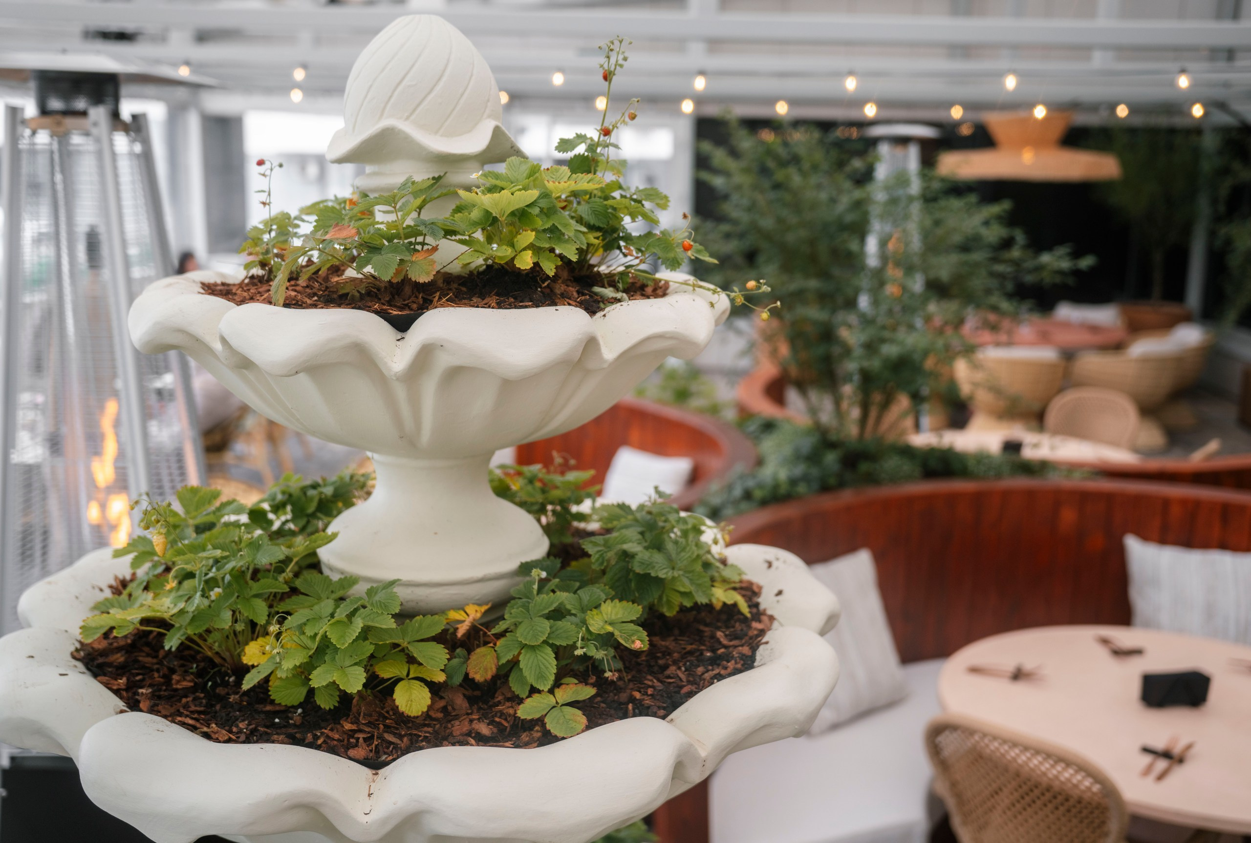 Толока х Enter. Саша Копылов, фотограф в Казани