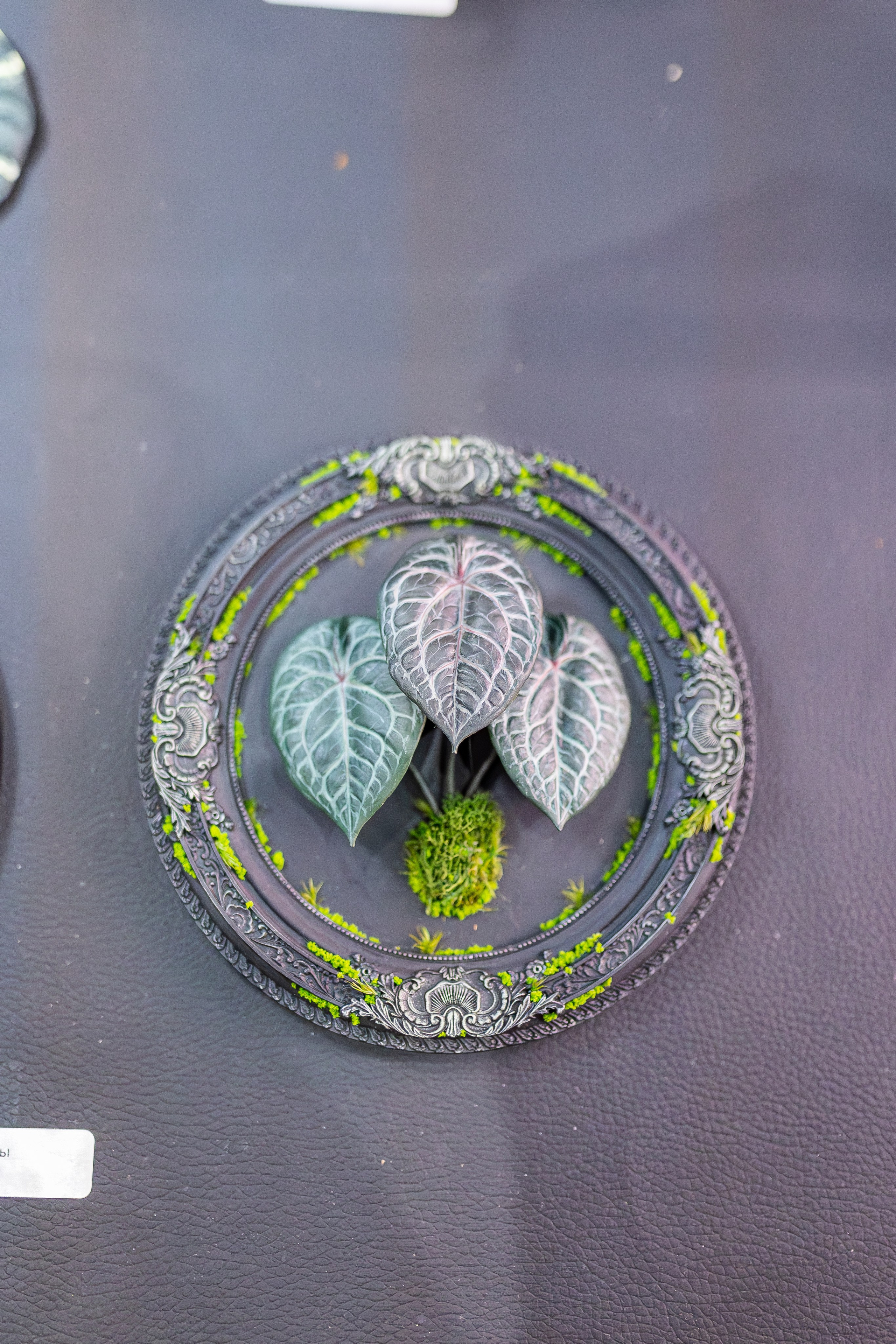 Монстериум апрель 2026. Александра Куликова фотограф, Москва