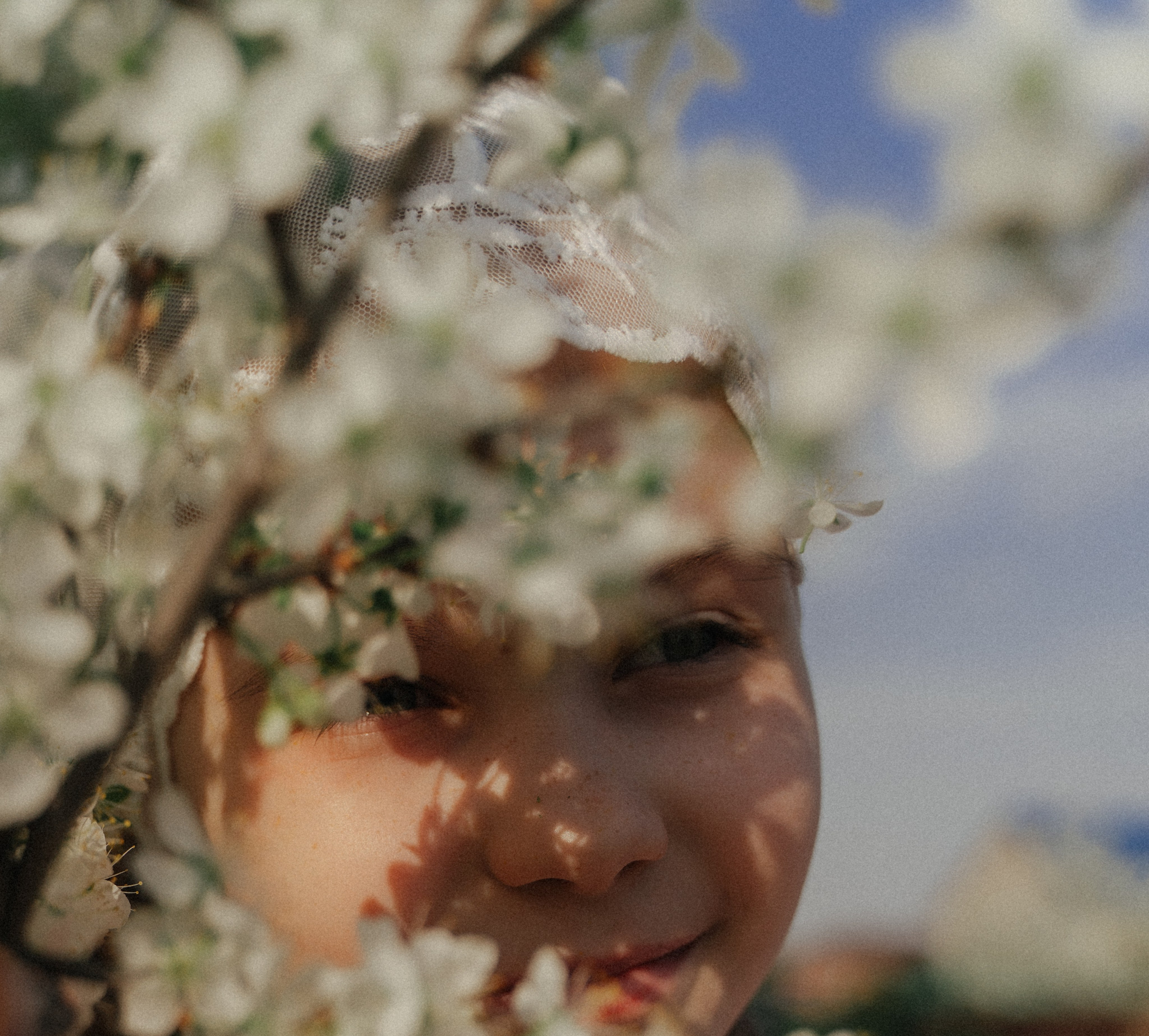 Цветение. FotoTanya. Раменское/Жуковский/Бронницы