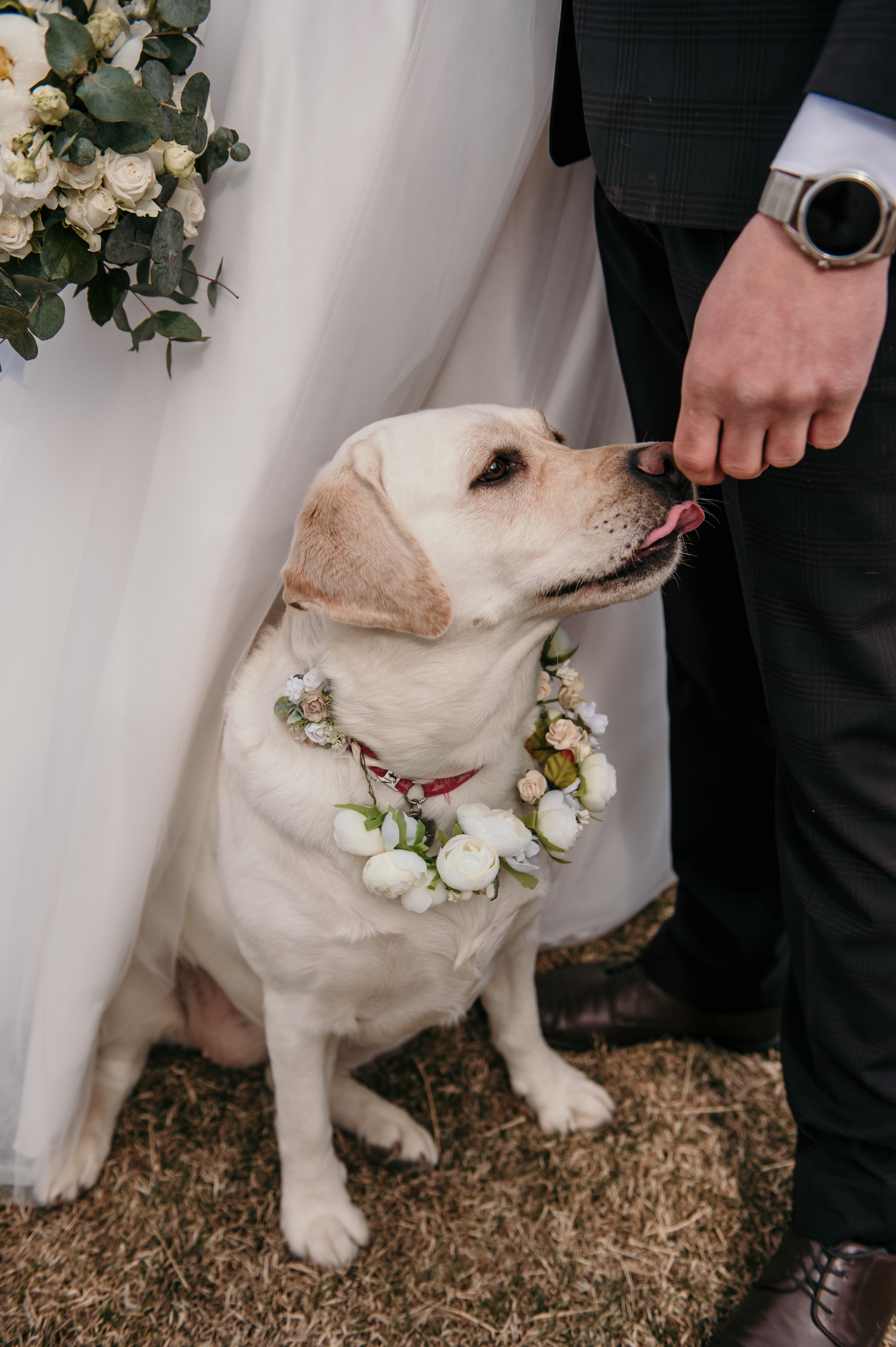 Настя и Юра. Свадебный и семейный фотограф в Москве и Европе Евгения Амелина