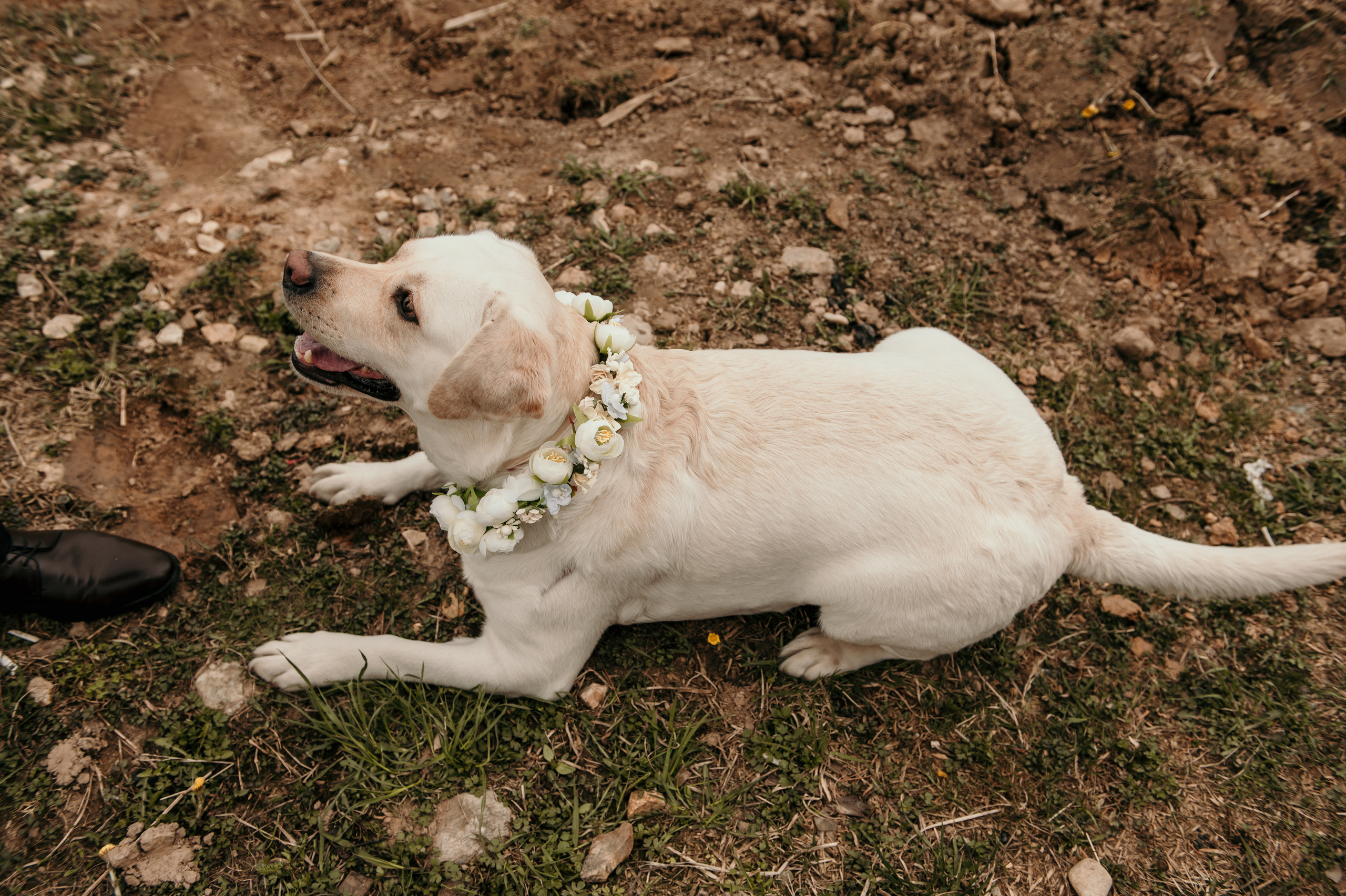 Настя и Юра. Свадебный и семейный фотограф в Москве и Европе Евгения Амелина