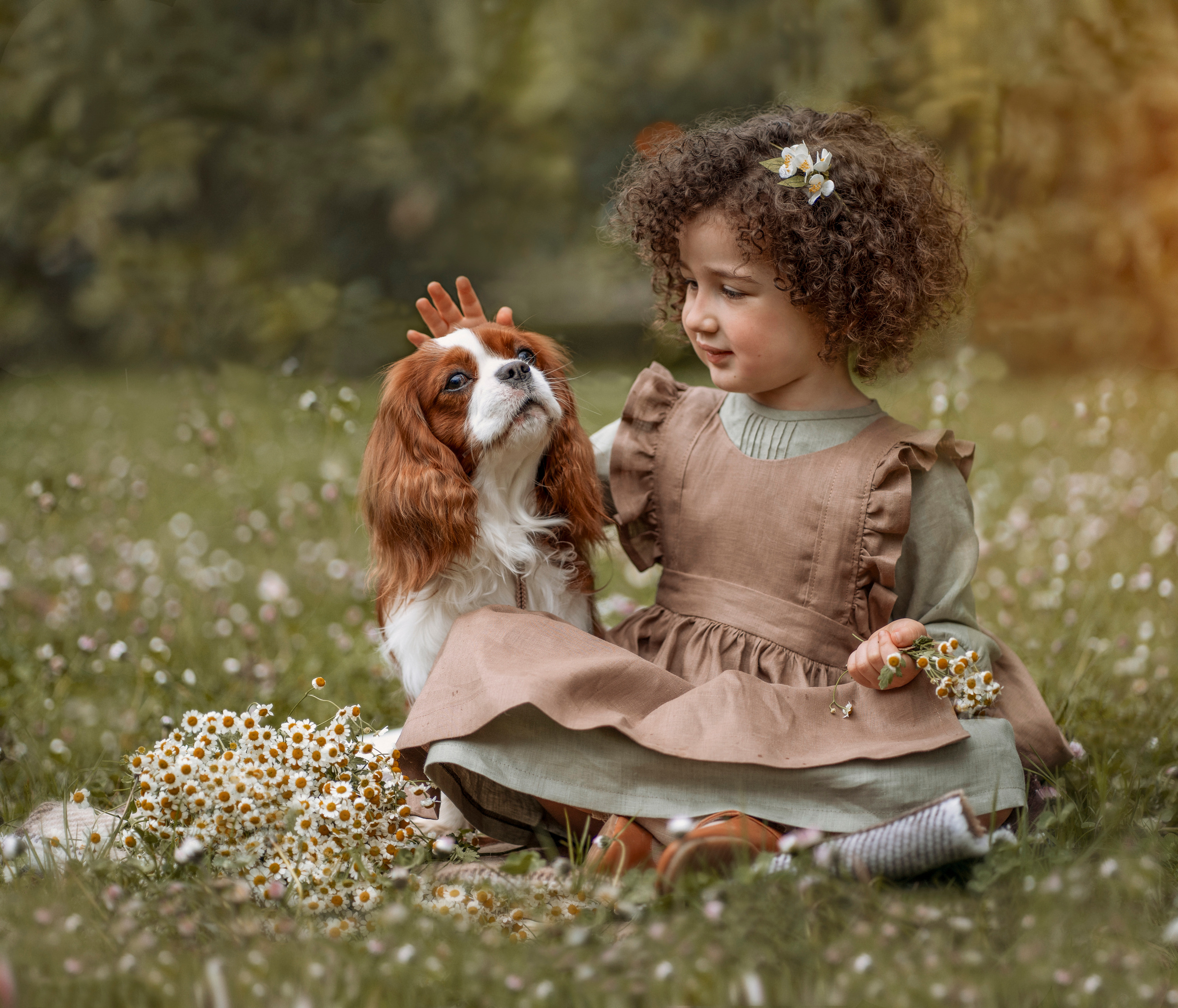 Девочка гладит спаниеля по голове 