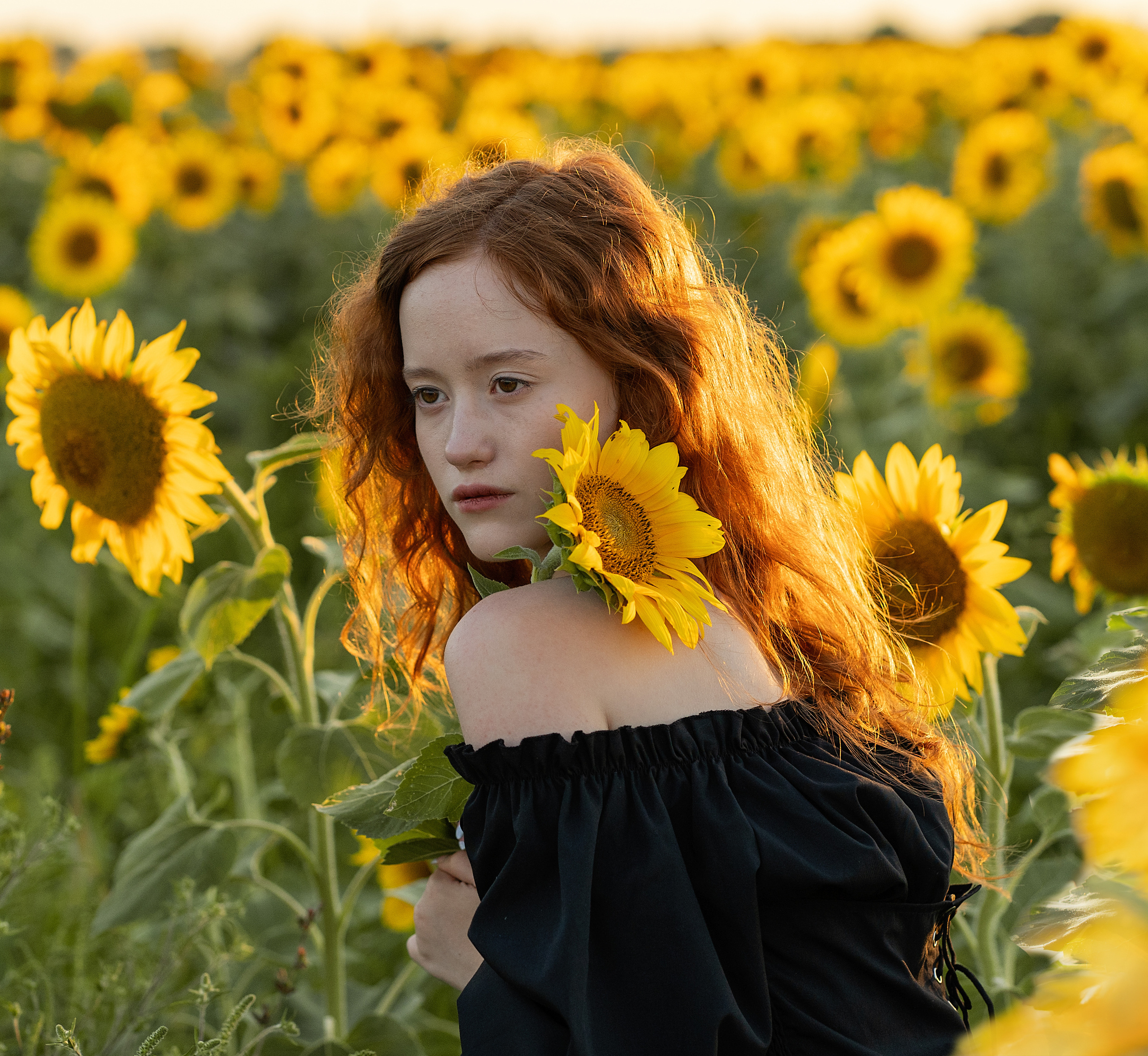 Подсолнечное настроение. Анна. Лариса Коновалова — портретный фотограф (Майкоп, Краснодар)