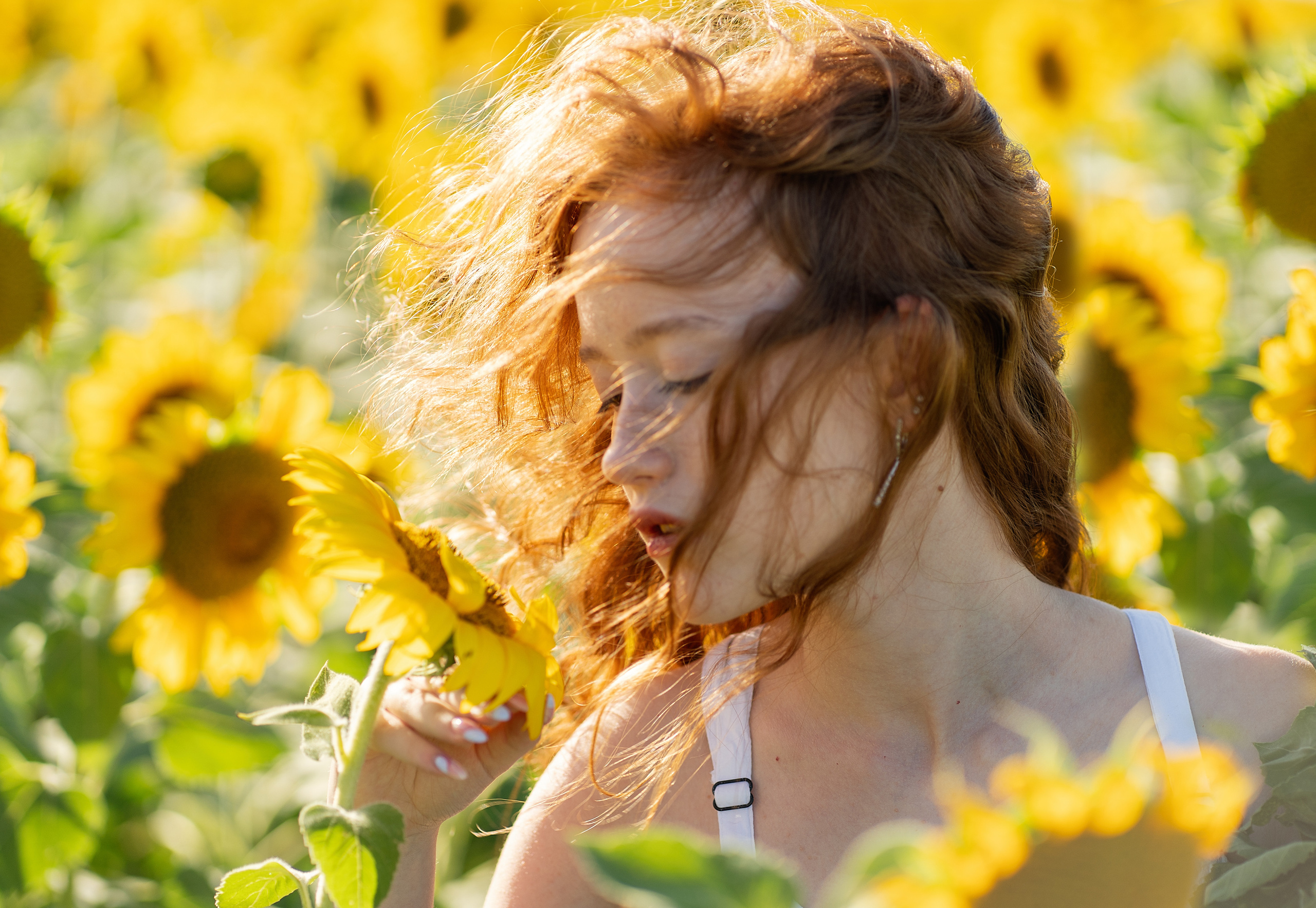 Подсолнечное настроение. Анна. Лариса Коновалова — портретный фотограф (Майкоп, Краснодар)