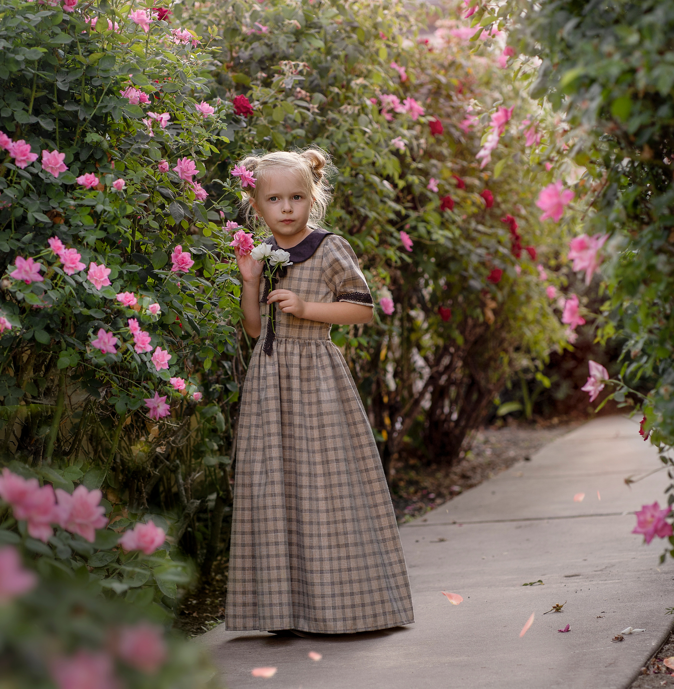 Маленькая девочка по имени Алиса идет среди кустов роз. Она чем-то не довольна.