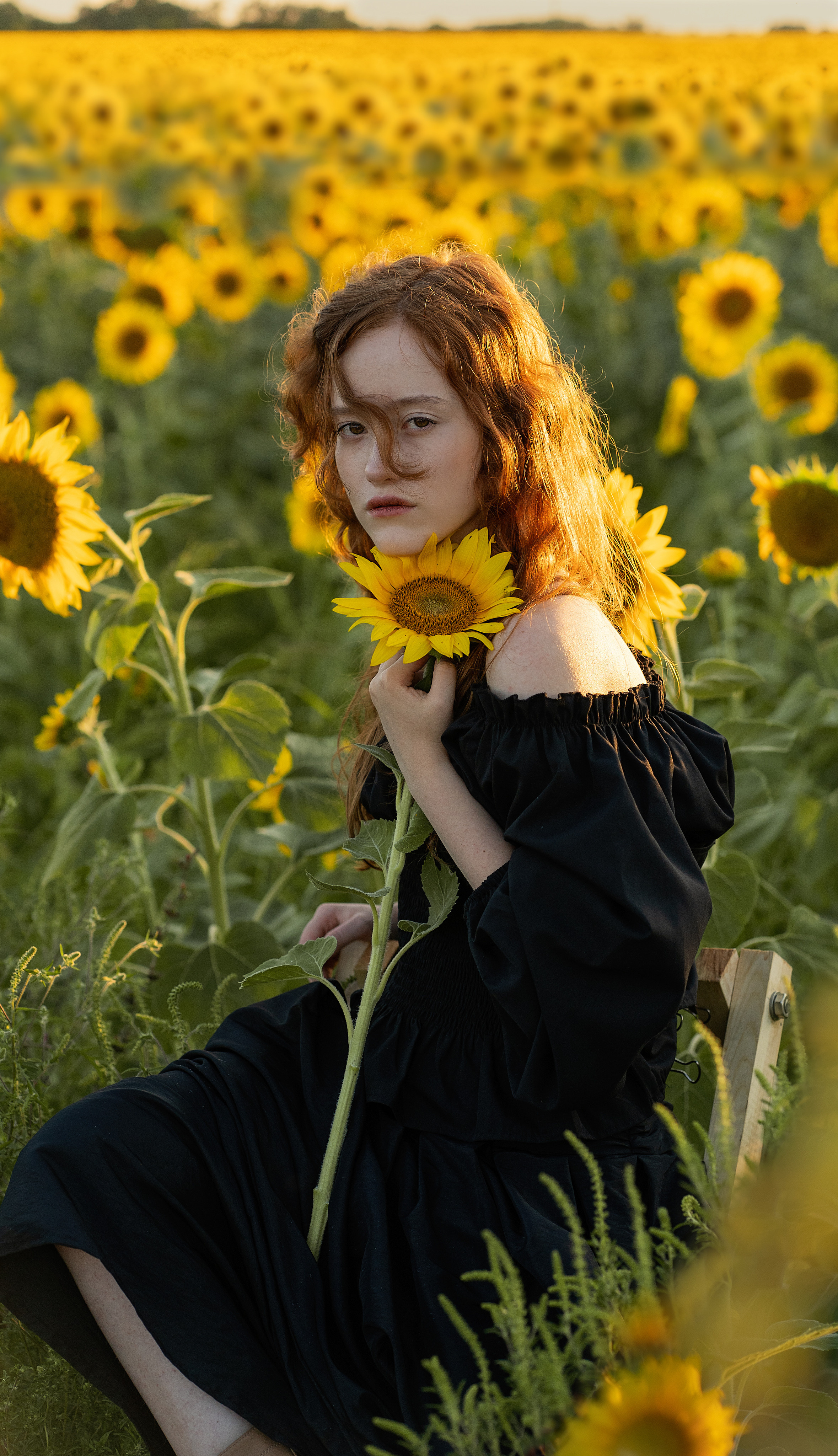 Подсолнечное настроение. Анна. Лариса Коновалова — портретный фотограф (Майкоп, Краснодар)