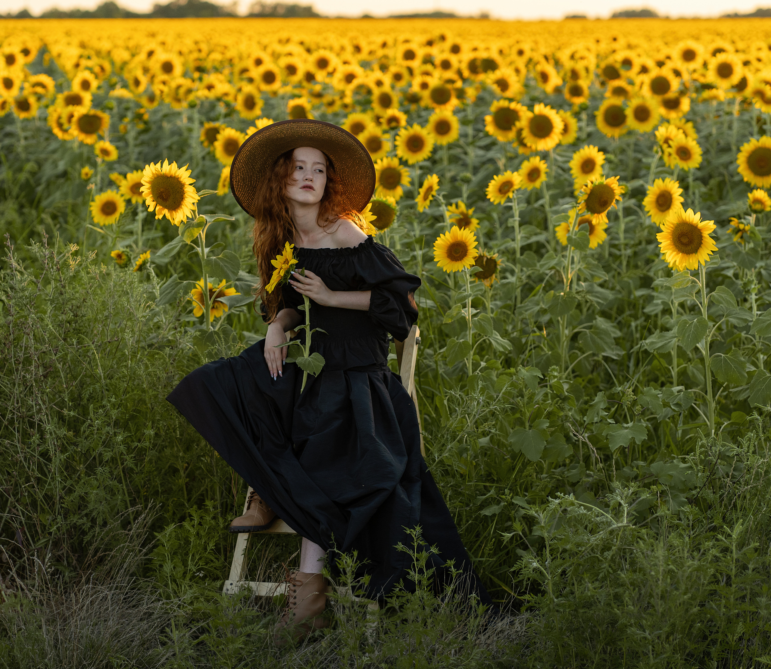 Подсолнечное настроение. Анна. Лариса Коновалова — портретный фотограф (Майкоп, Краснодар)