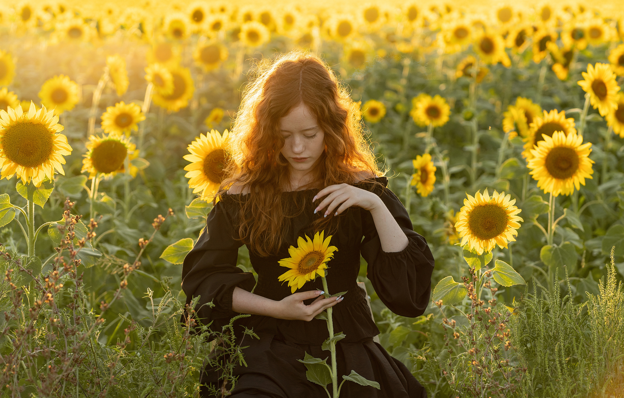 Подсолнечное настроение. Анна. Лариса Коновалова — портретный фотограф (Майкоп, Краснодар)