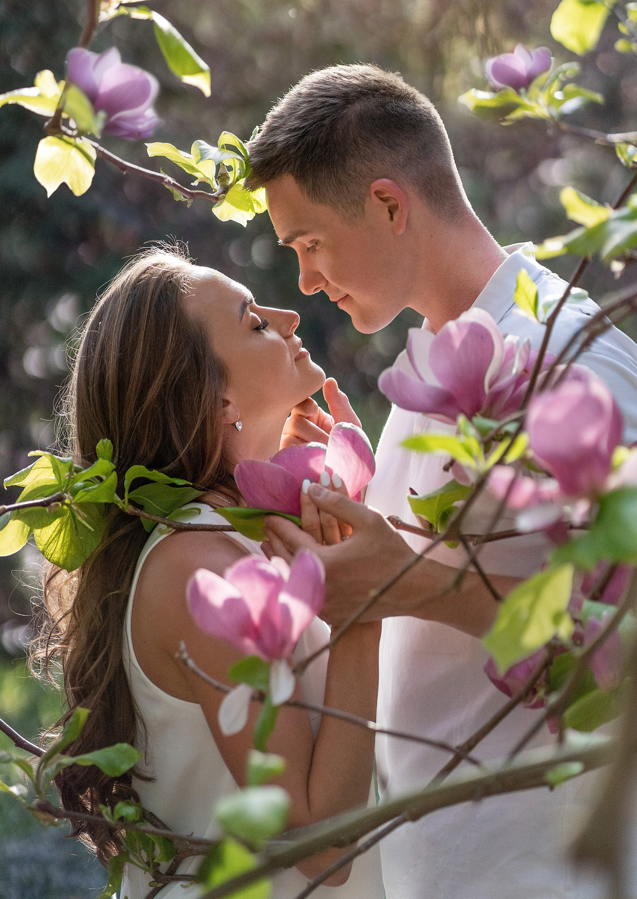 влюбленные в цветах магнолии