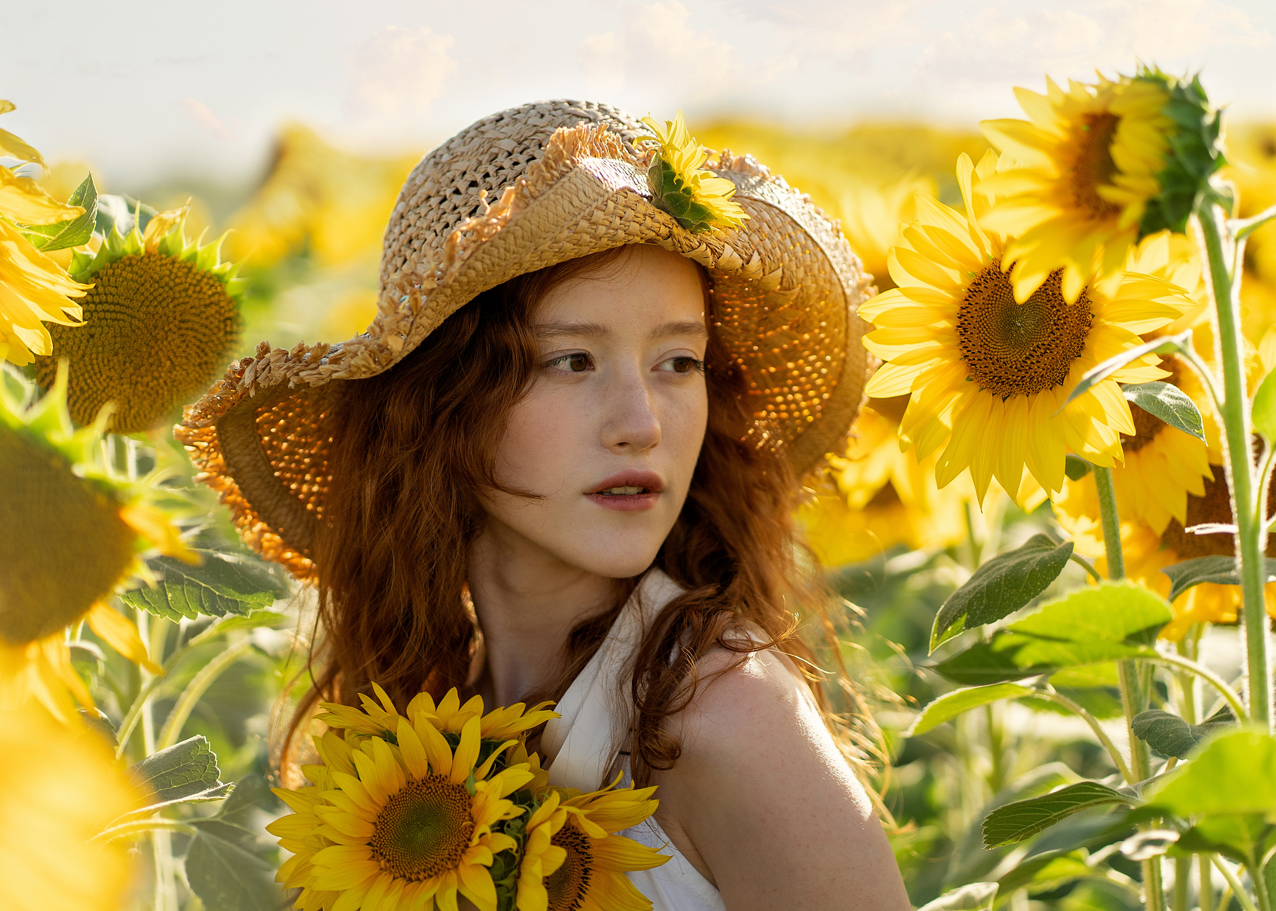 Подсолнечное настроение. Анна. Лариса Коновалова — портретный фотограф (Майкоп, Краснодар)