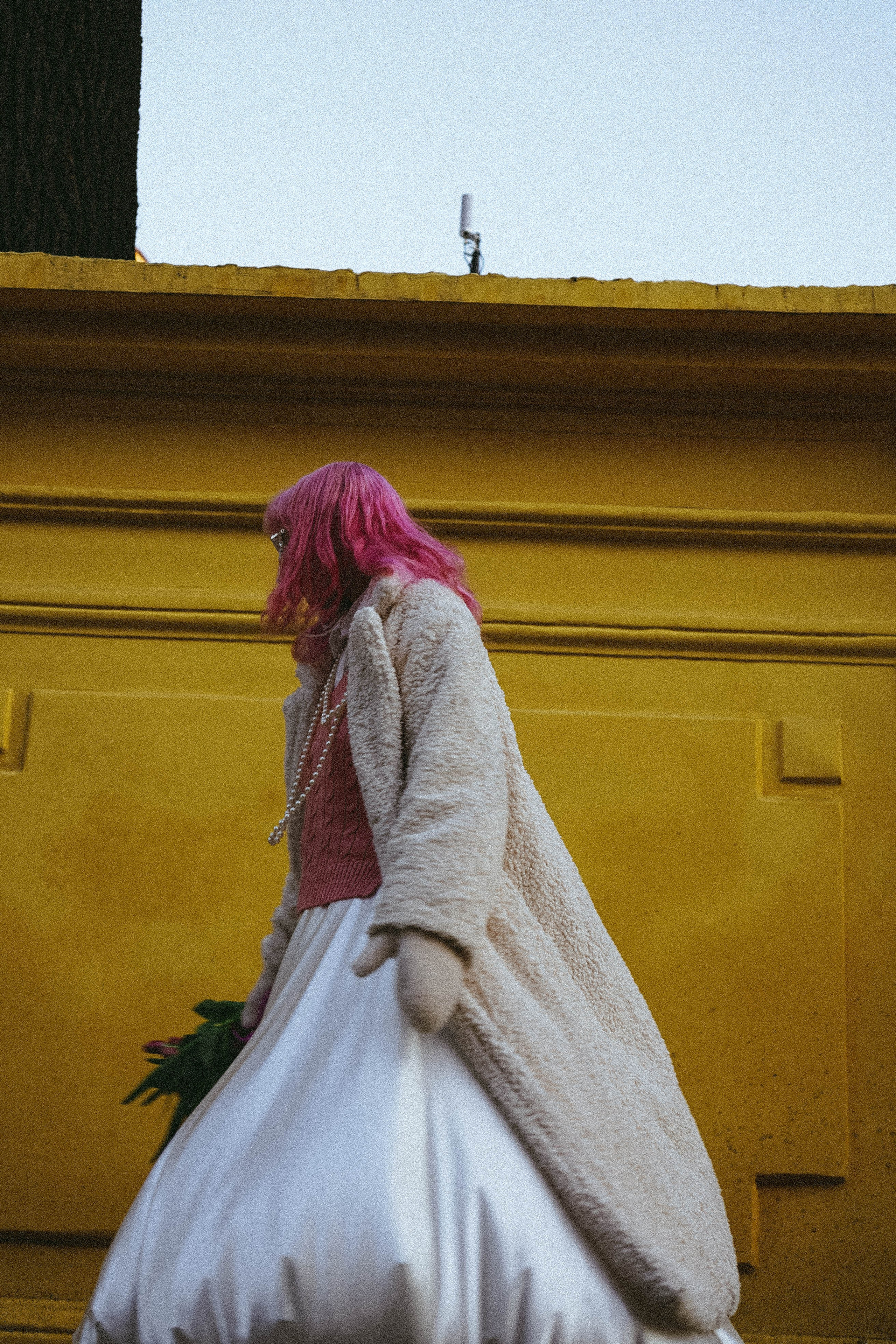 Тюльпаны. Профессиональный фотограф, Санкт-Петербург — Виктория Богомолова