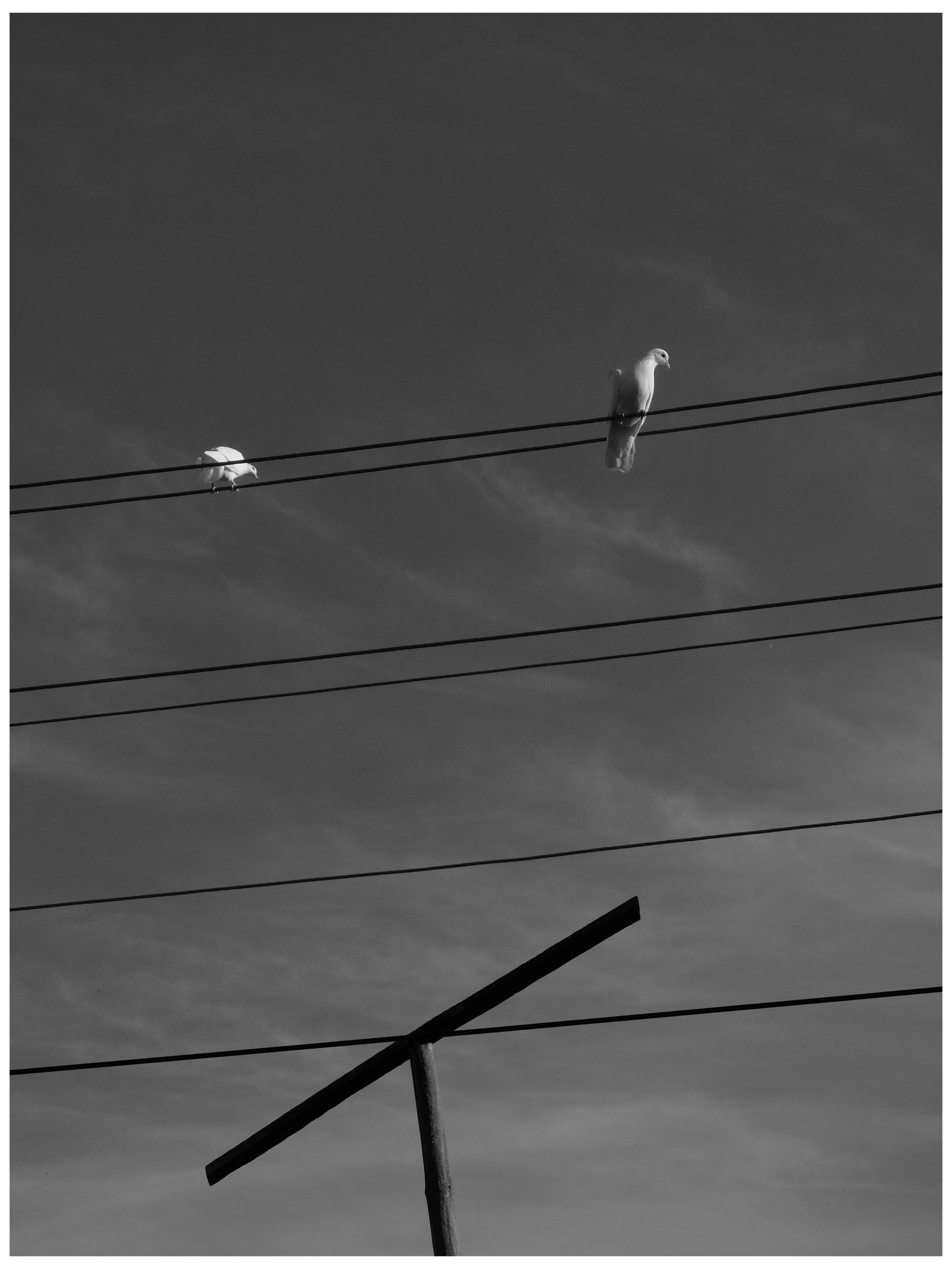 Промежуточные моменты (2022)