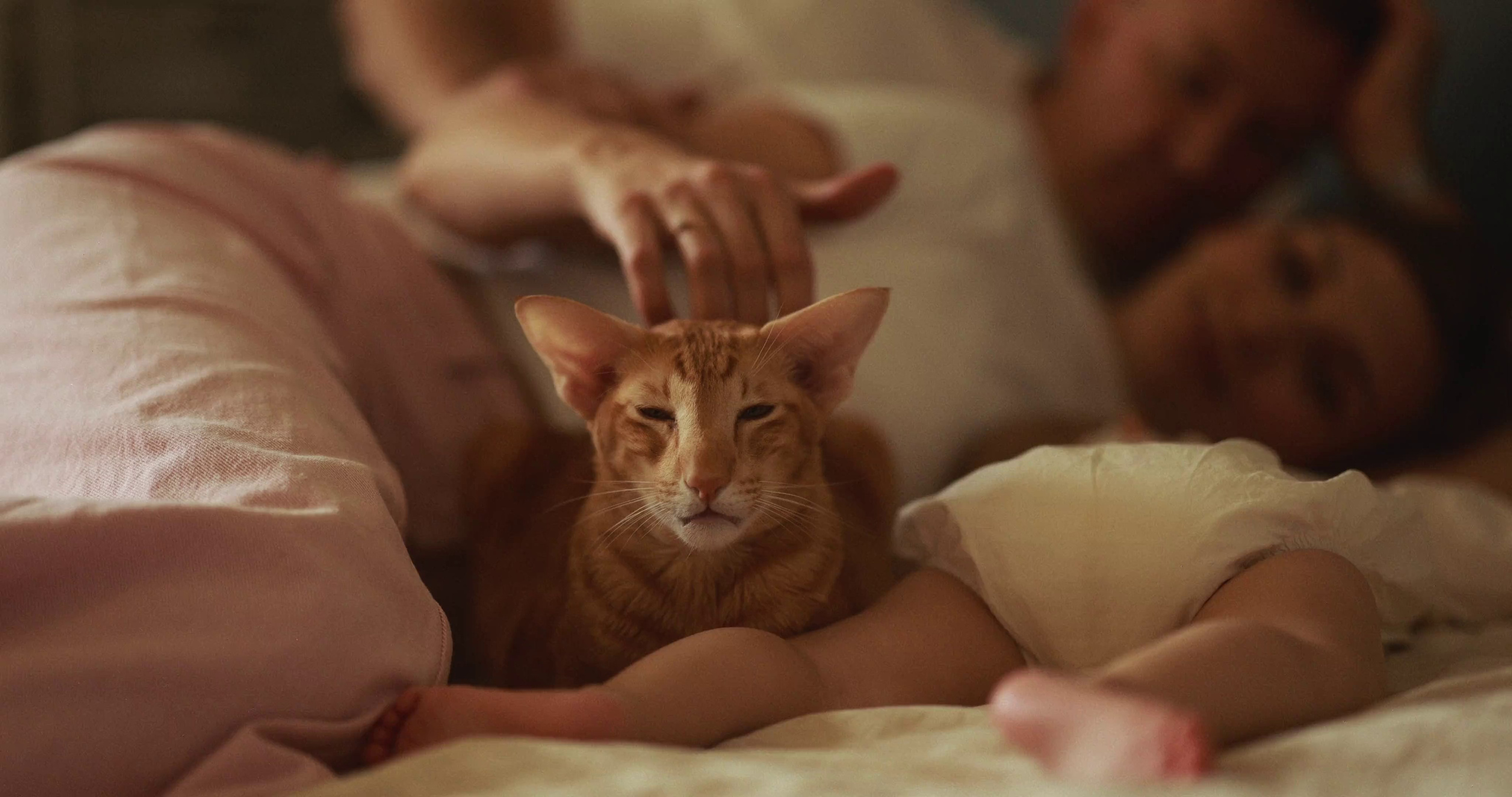 Созвучие. Фотограф в Санкт-Петербурге Денис Персенен