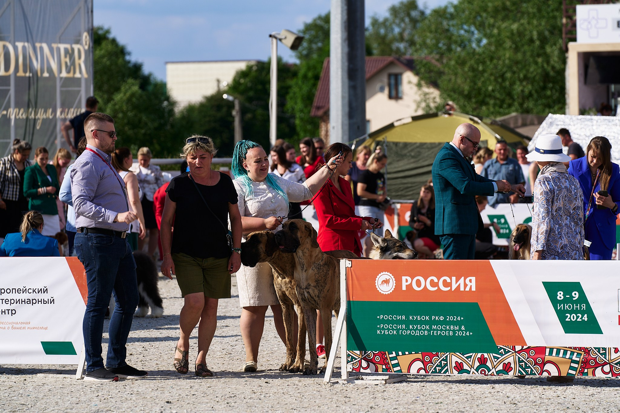 08.06.2024 «РОССИЯ. КУБОК РКФ 2024»