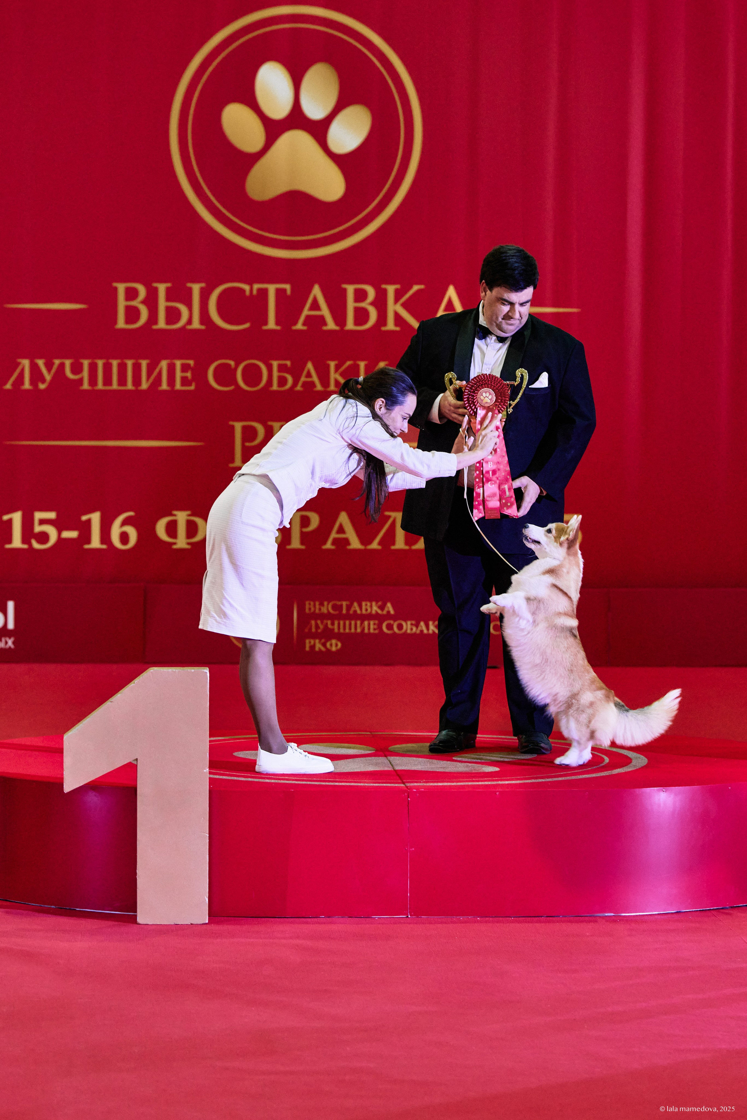 ЛУЧШИЕ СОБАКИ РОССИИ РКФ 2025