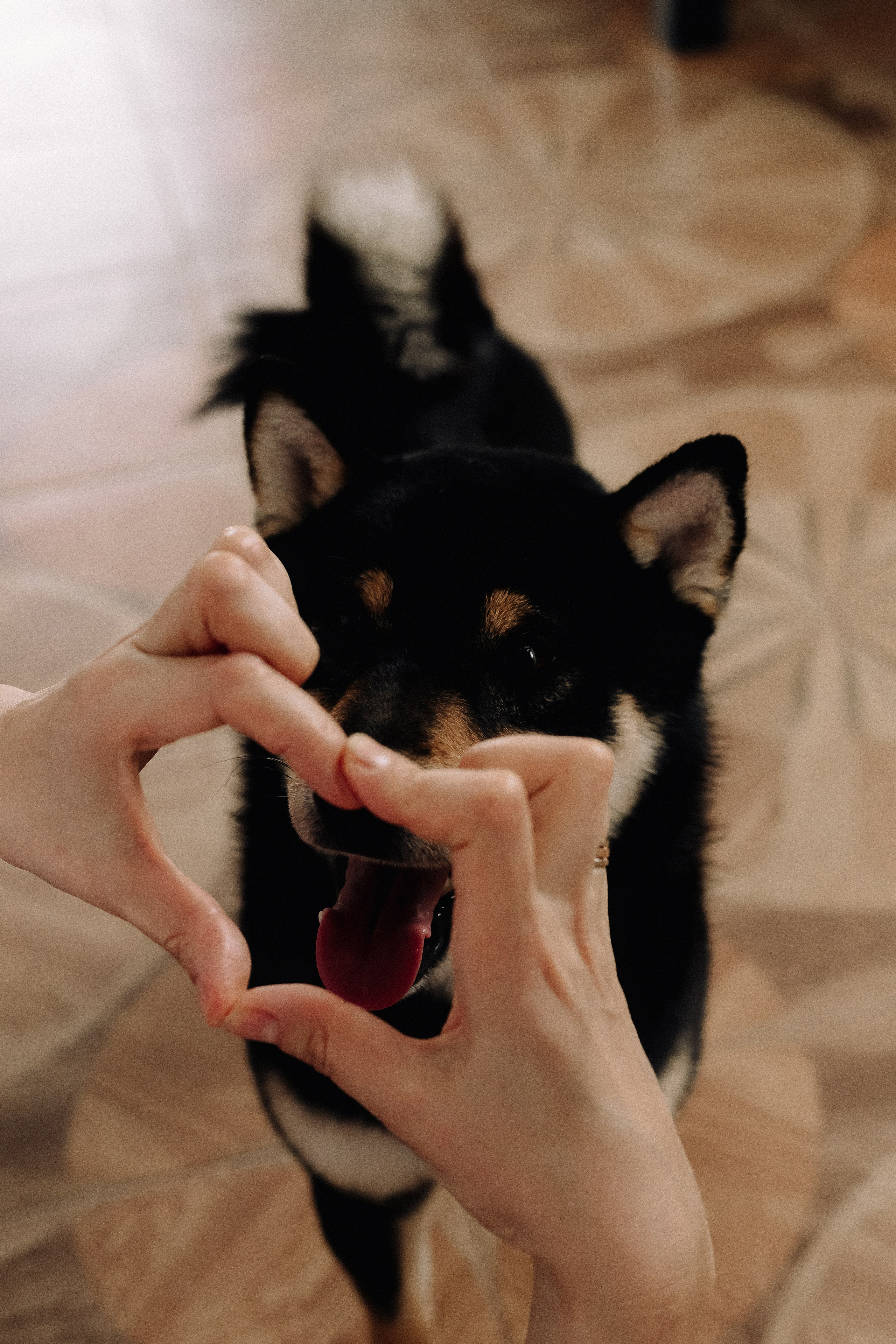 Домашний уют — съемка в загородном доме. Свадебный фотограф в Нижнем Новгороде Генеральская Ира