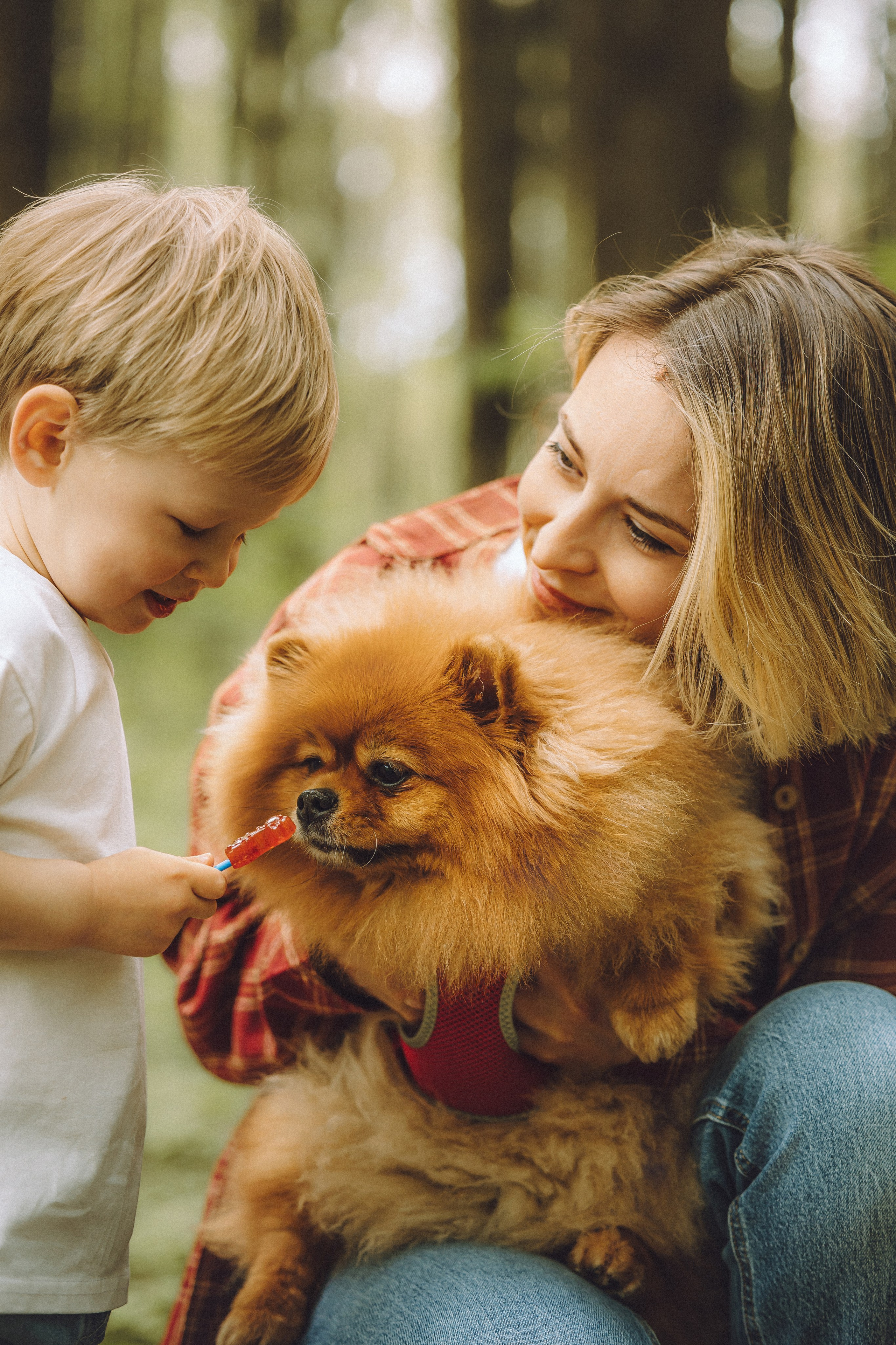 Лорик и его семья