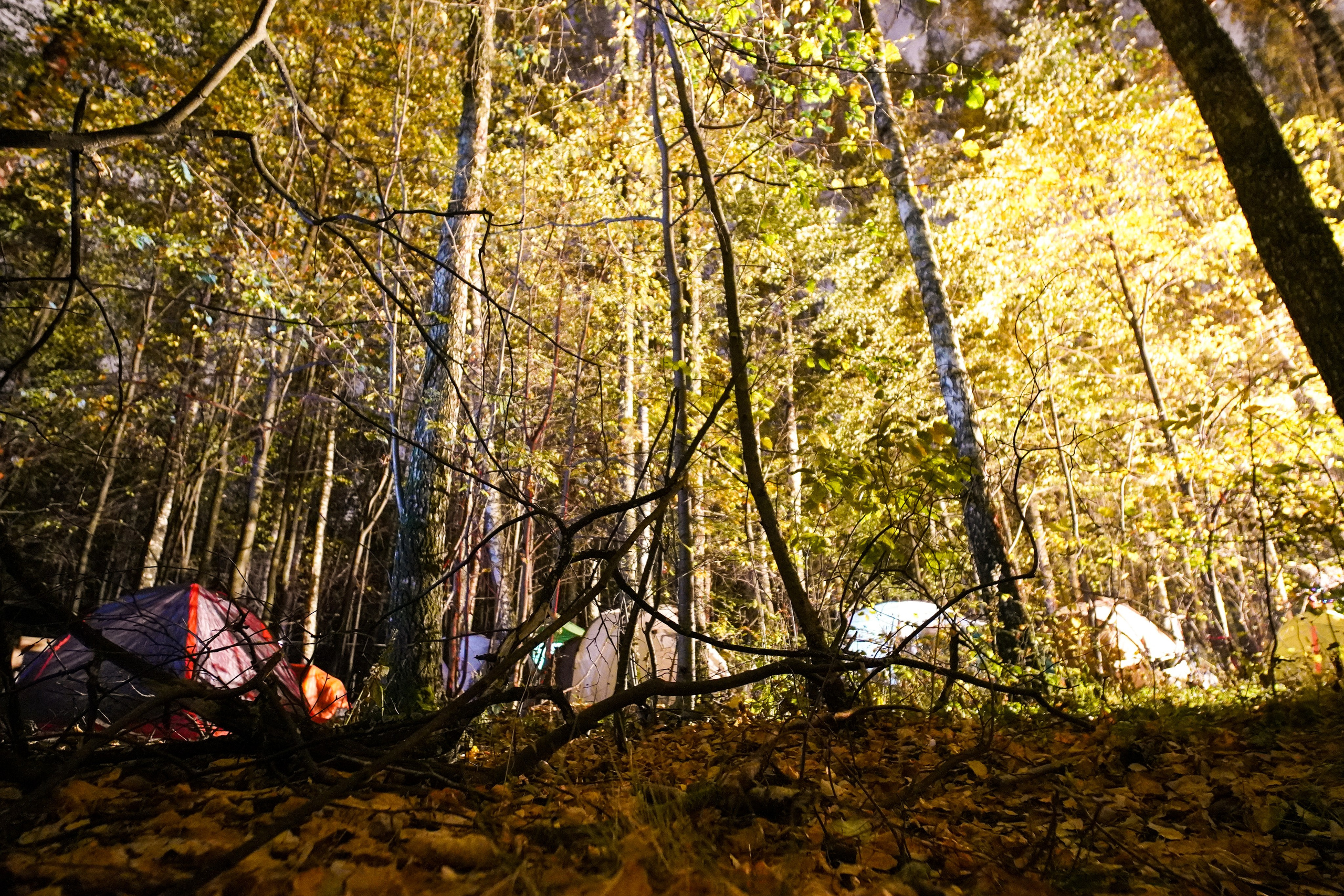 Backyard Ultra Moscow 2024. Роман Капилюшов. Бег. Фото. Видео. г. Люберцы