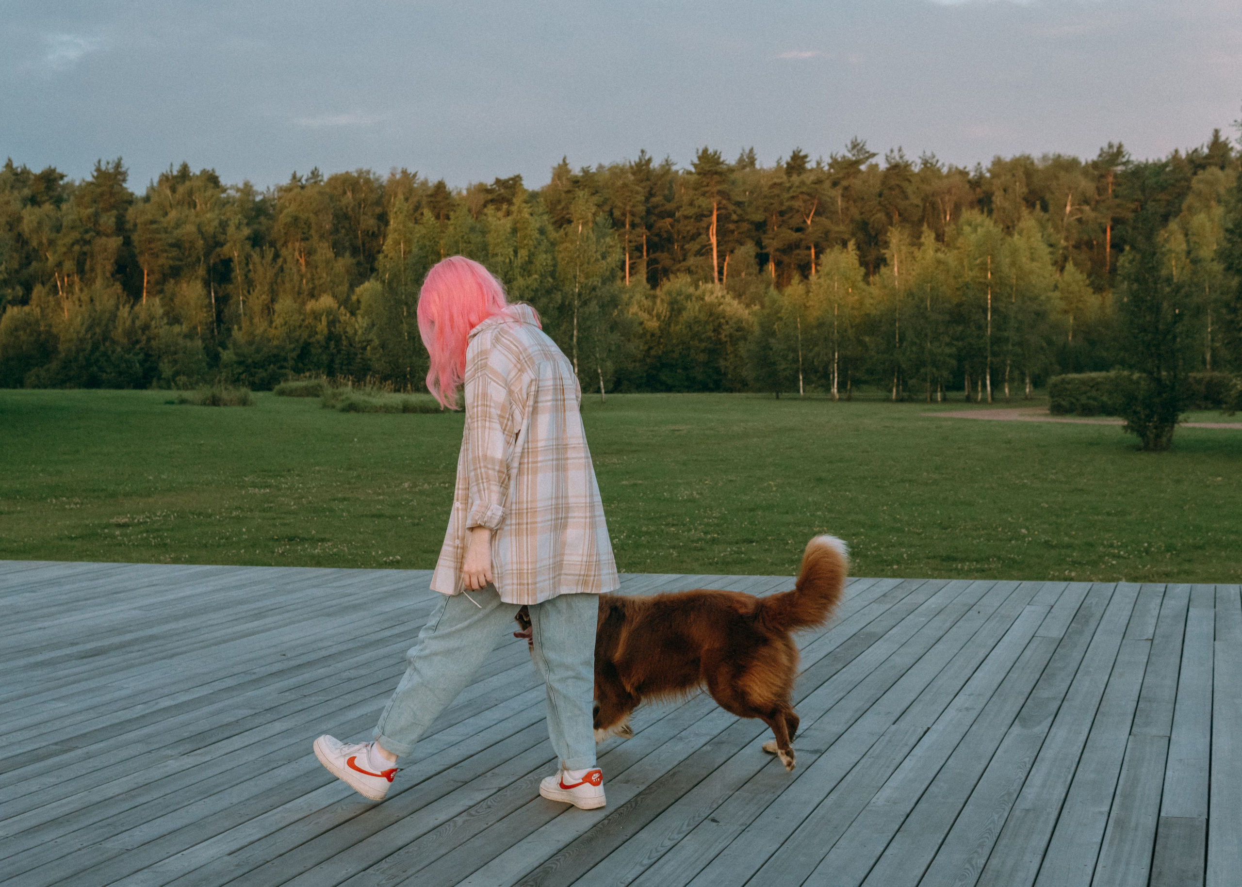 Виолетта, Лила и Питер. Фотограф-анималист Ксения Воробьева, Москва