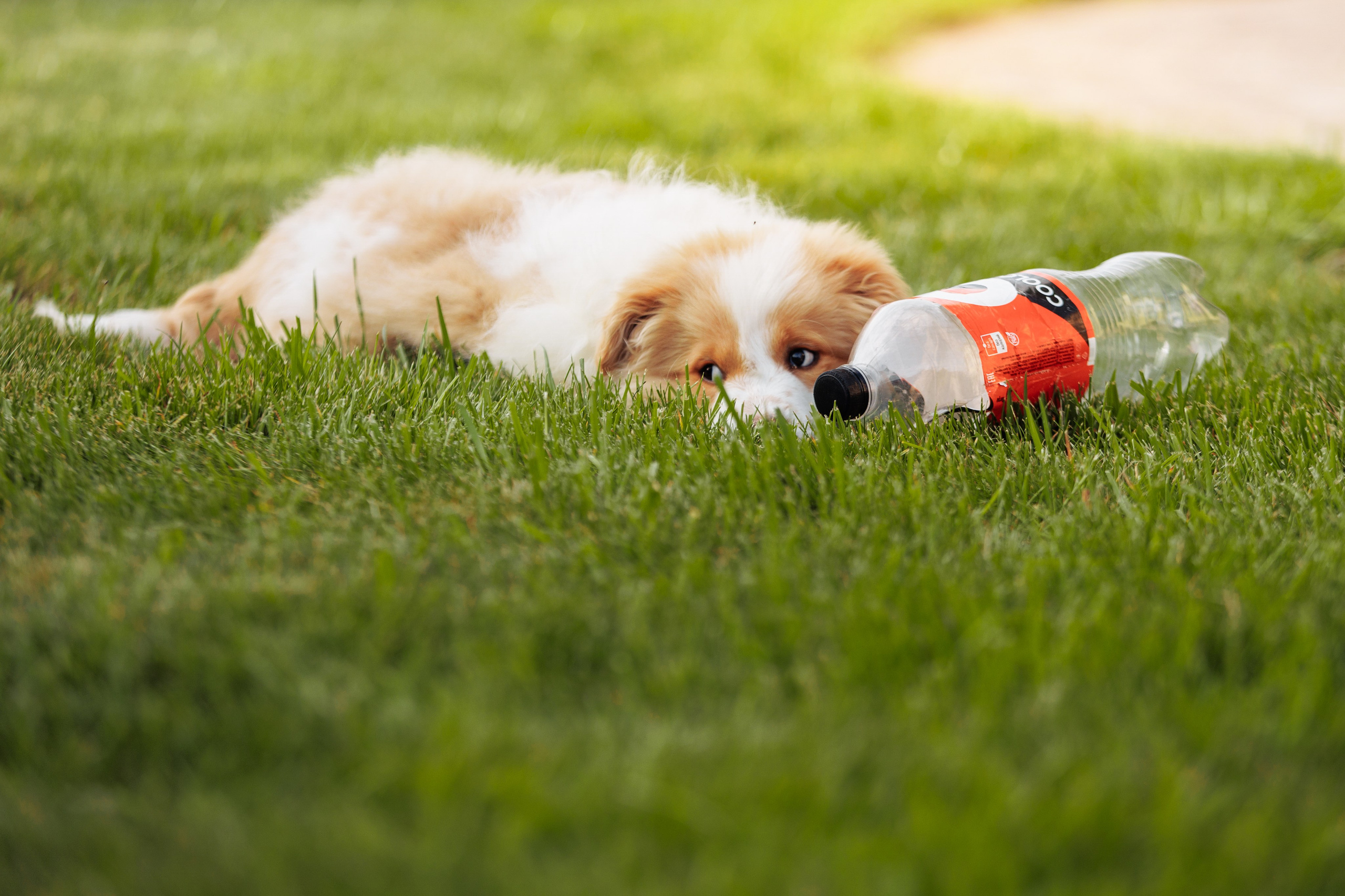 СОлнечные. О нас