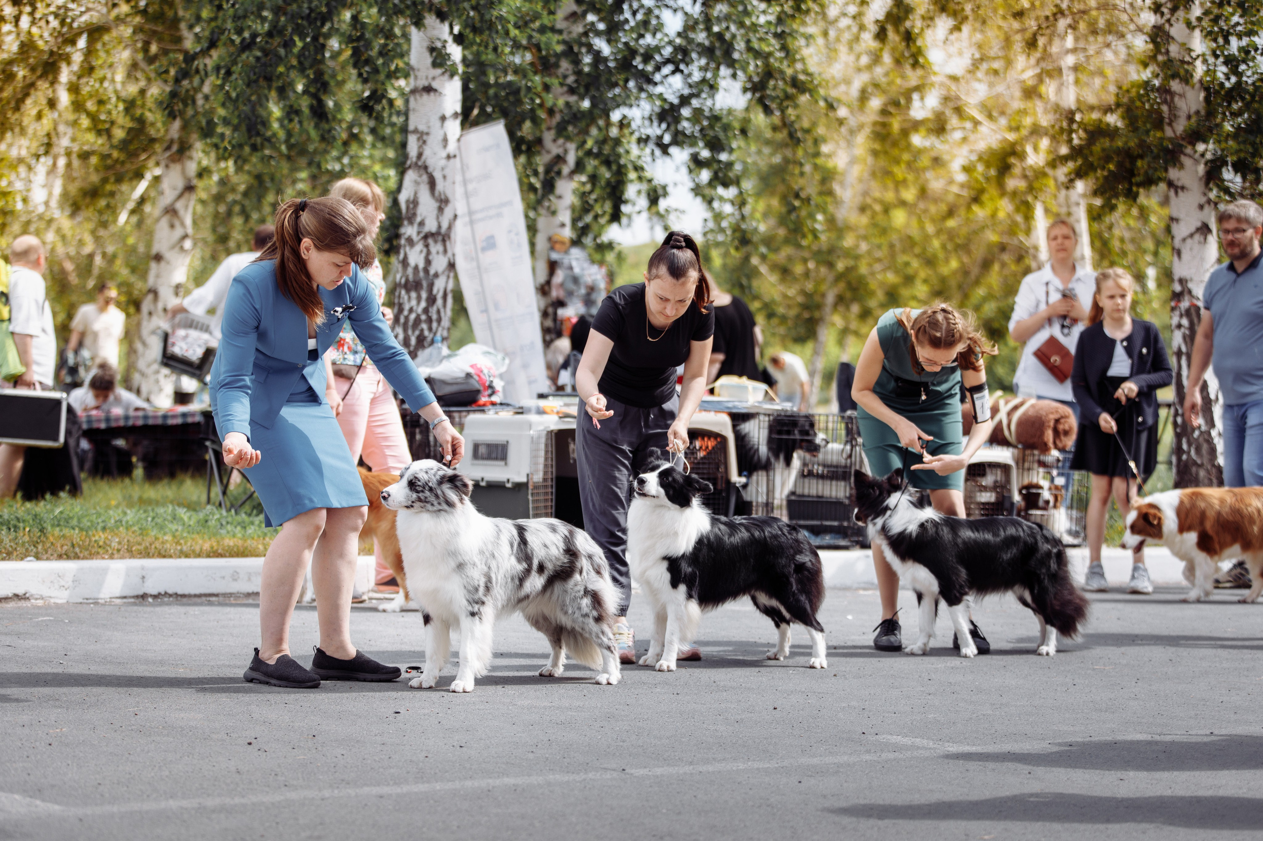 Оренбург с моно 22. О нас