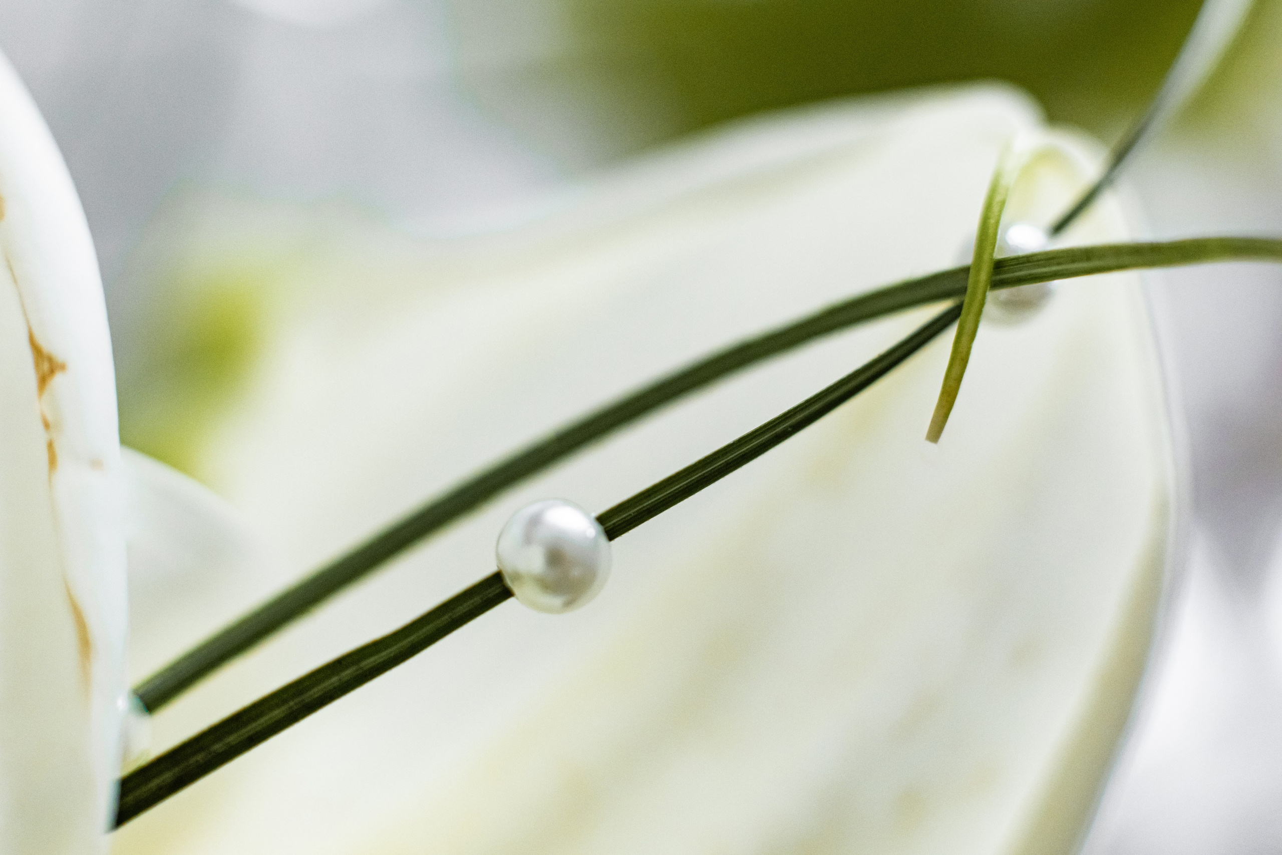 Валерия в студии «VENERA». Фотограф Белгород