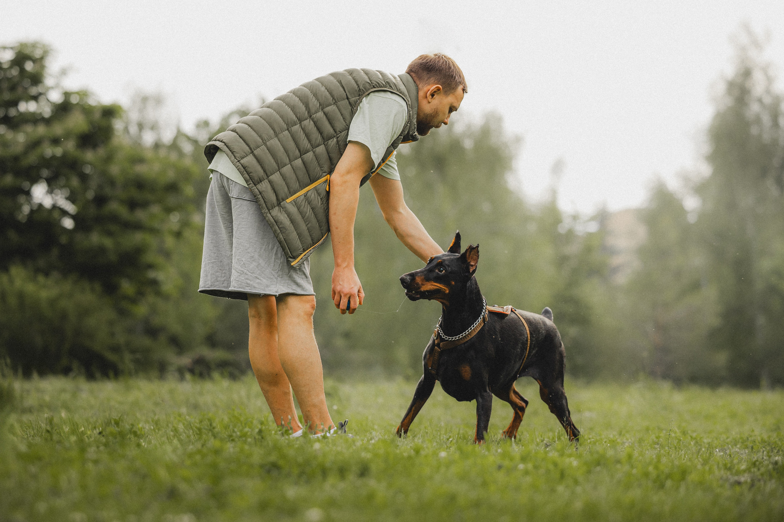 Паша, Хайди и Тея