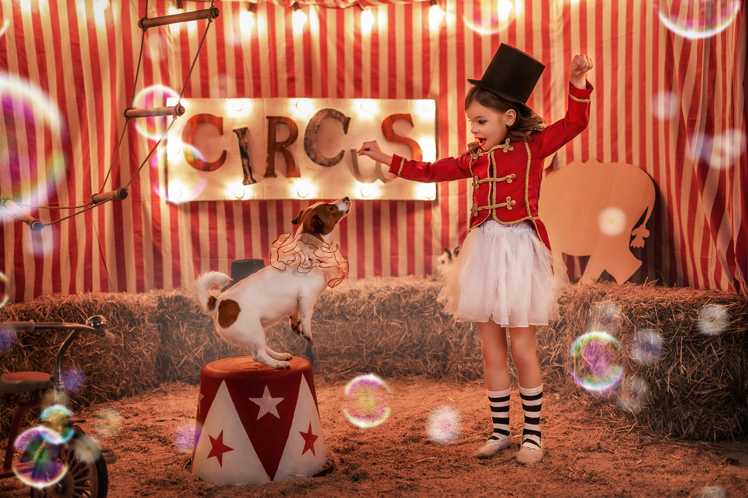 ШАПИТО. Семейный фотограф Екатеринбург Лора Мур