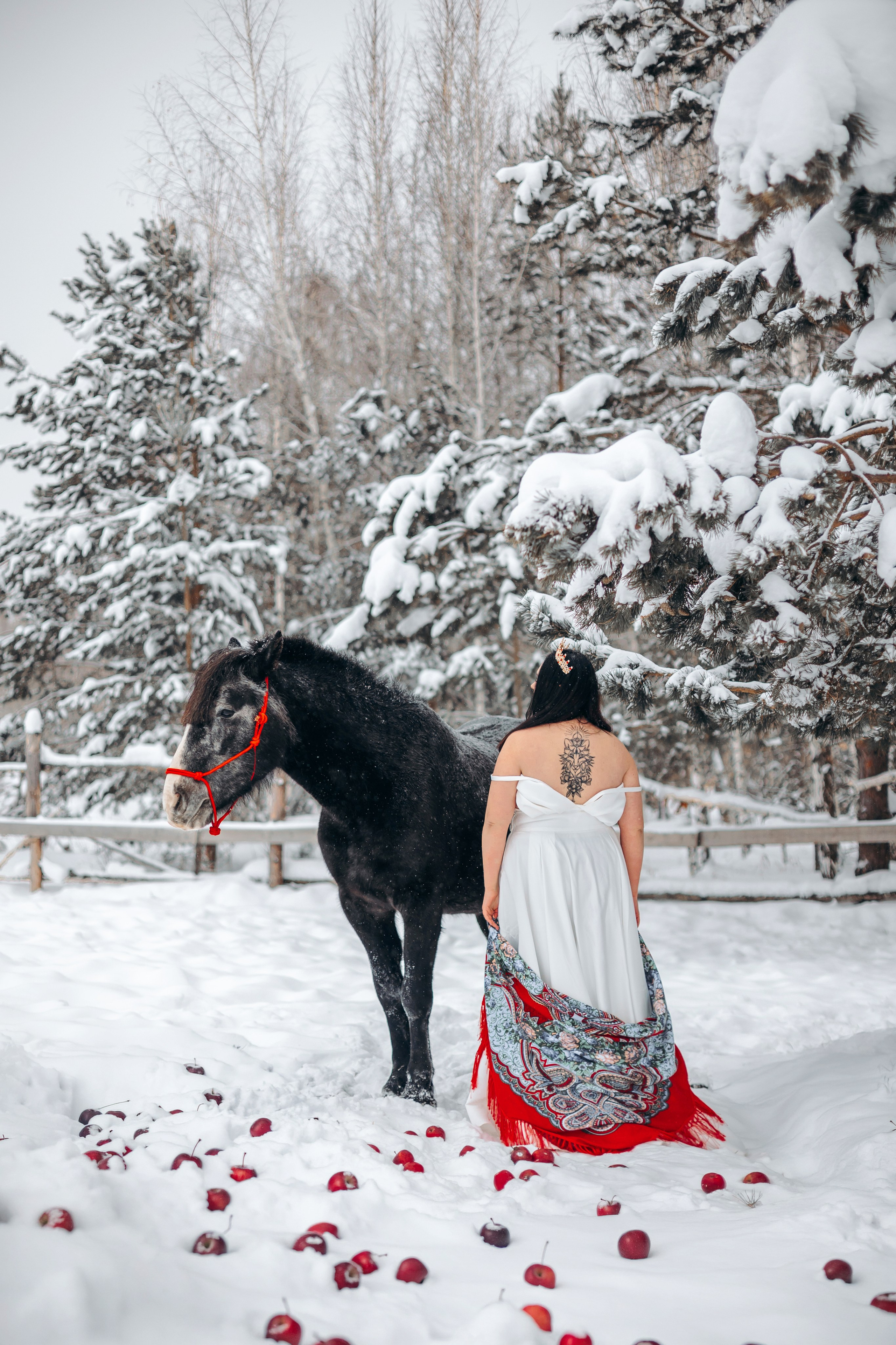 Яблоки на снегу. Анна Молчанова конный фотограф в Тюмени | фотосессии с лошадьми Тюмень