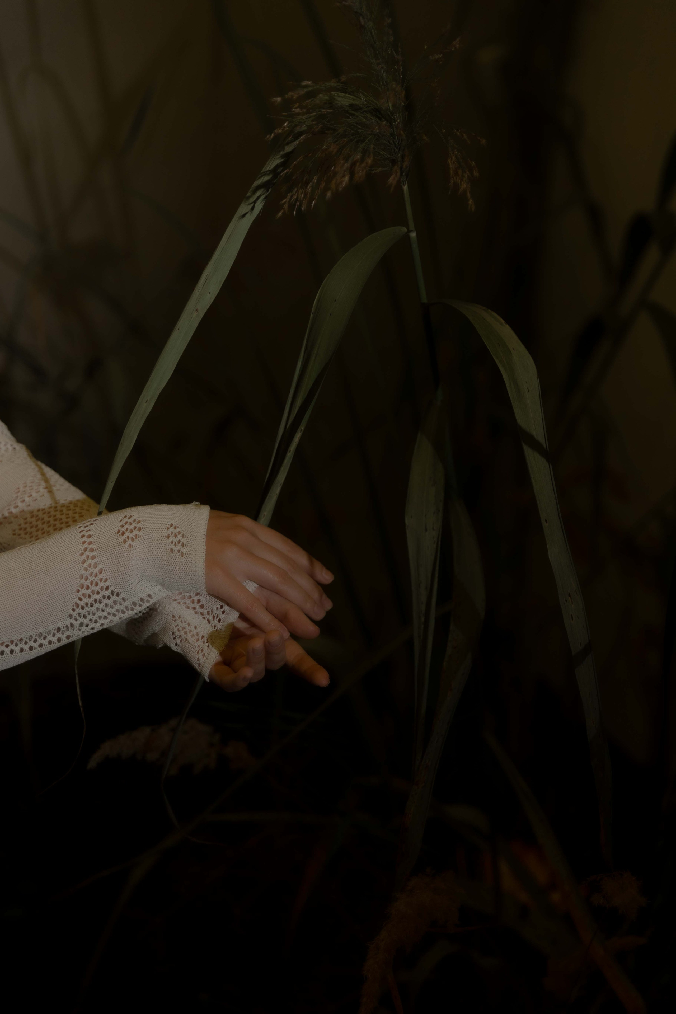 Настя. Я Ира и я фотографирую свадьбы более 10 лет