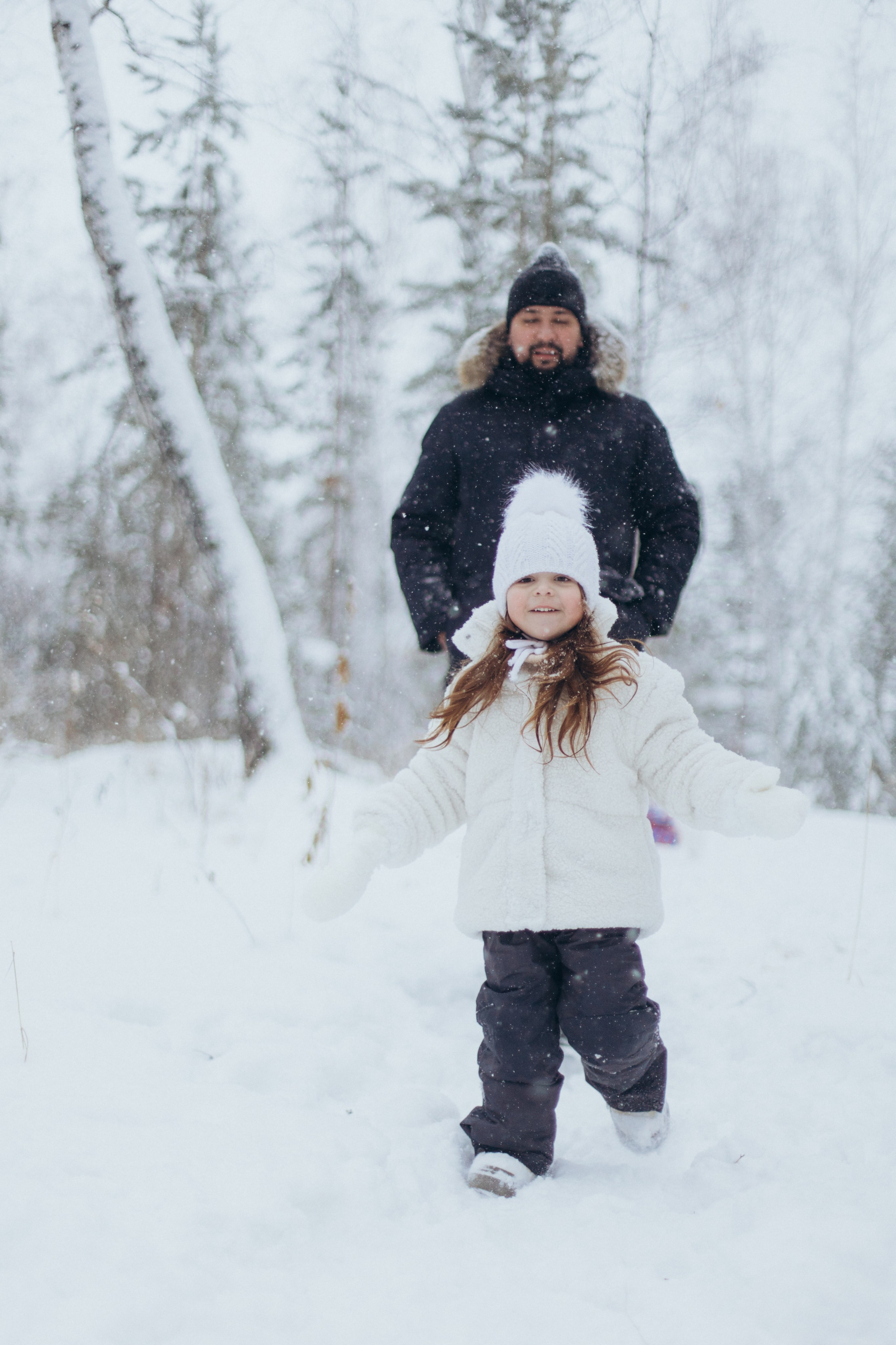 Зимняя история