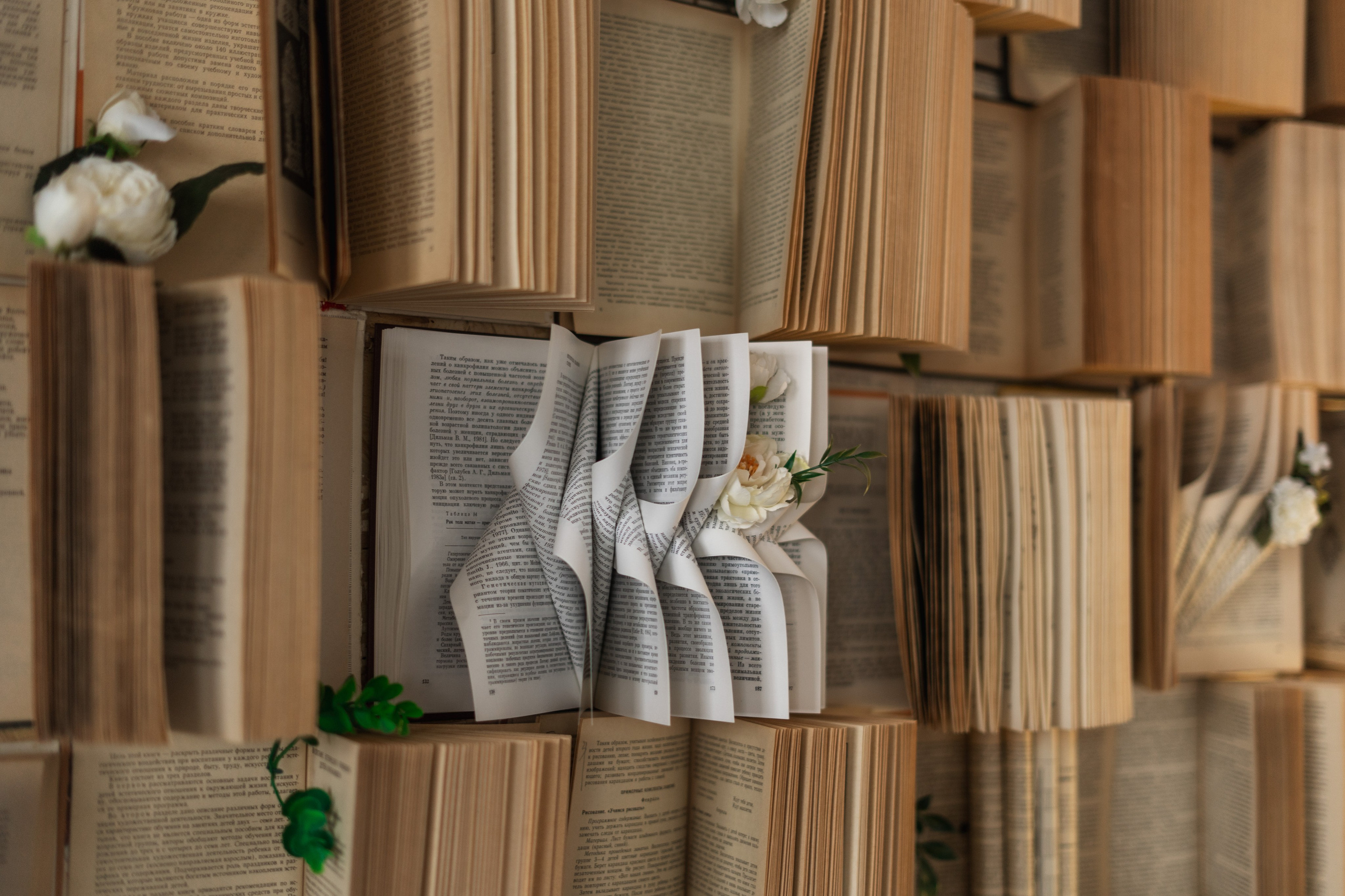 зал Дзен фотостудия «Импульс» Саратов  книжная зона