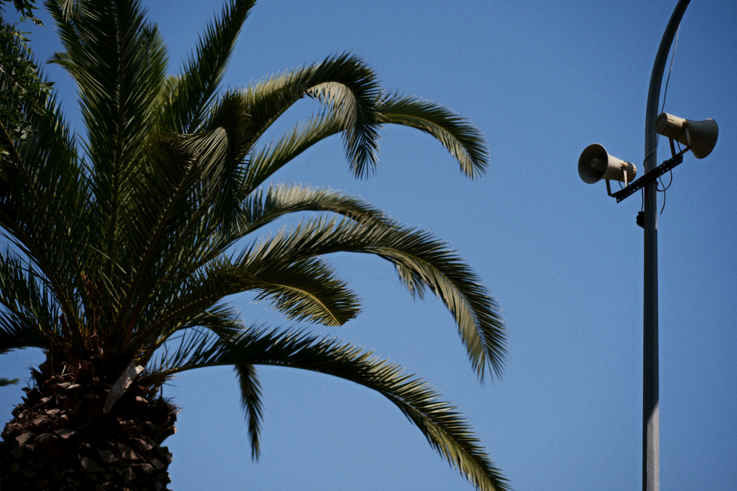Büyükada х Heybeliada, Istanbul / Türkey SS25. Фотограф Юрин Евгений