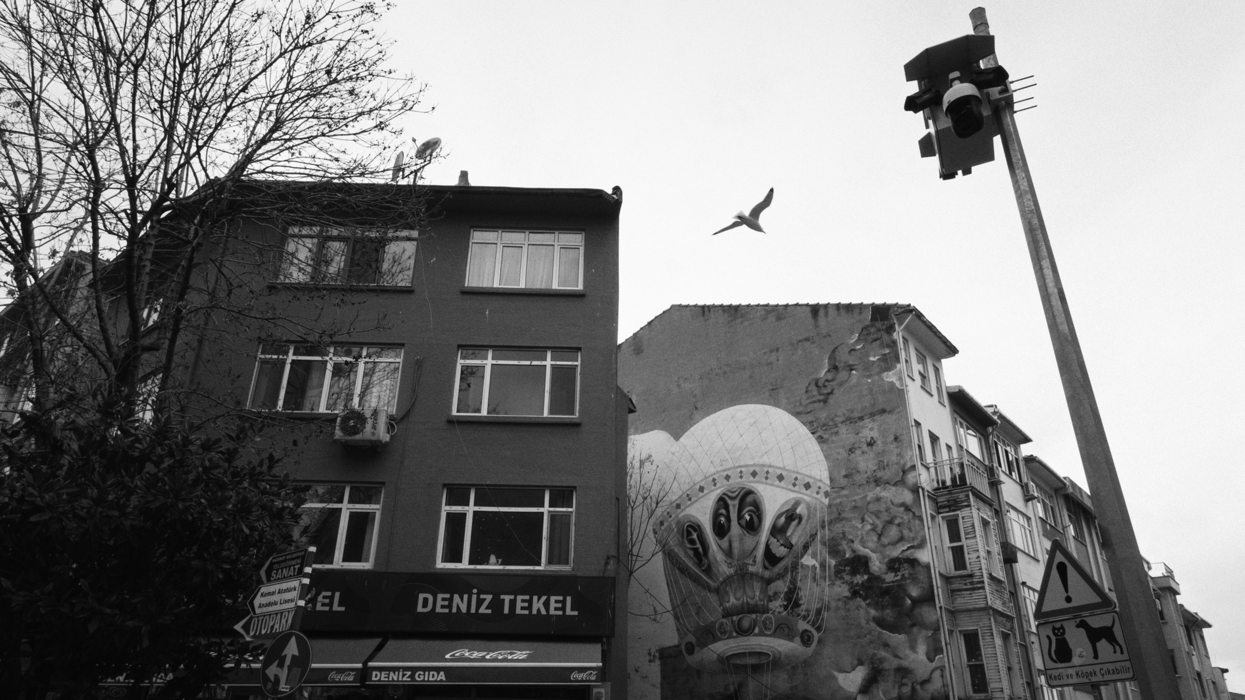 Kadikoy x Moda, Istanbul / Türkey AW26. Фотограф Юрин Евгений