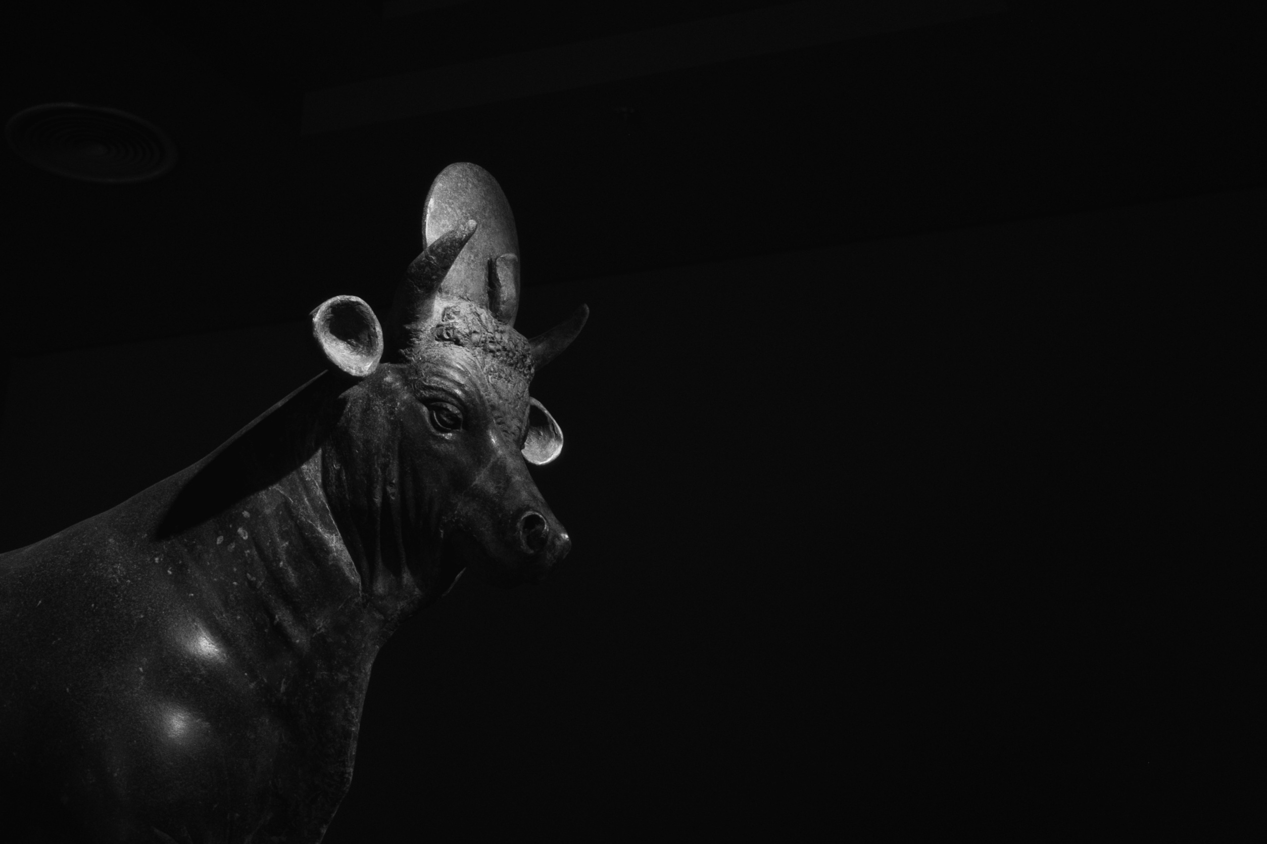 Greco-Roman Museum / Alexandria, Egypt AW25. Фотограф Юрин Евгений