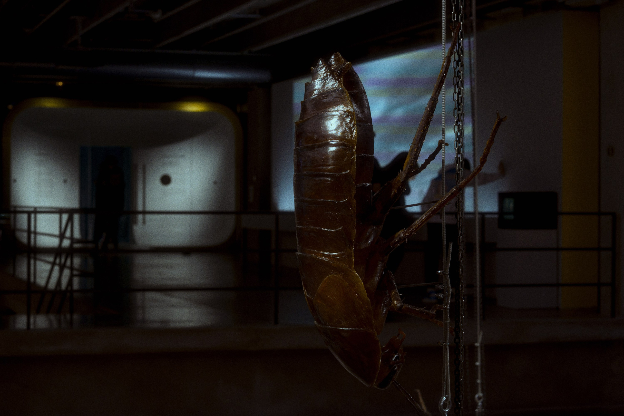 Garage MCA / “Грядущий мир: экология как новая политика. 2030–2100”. Фотограф Юрин Евгений