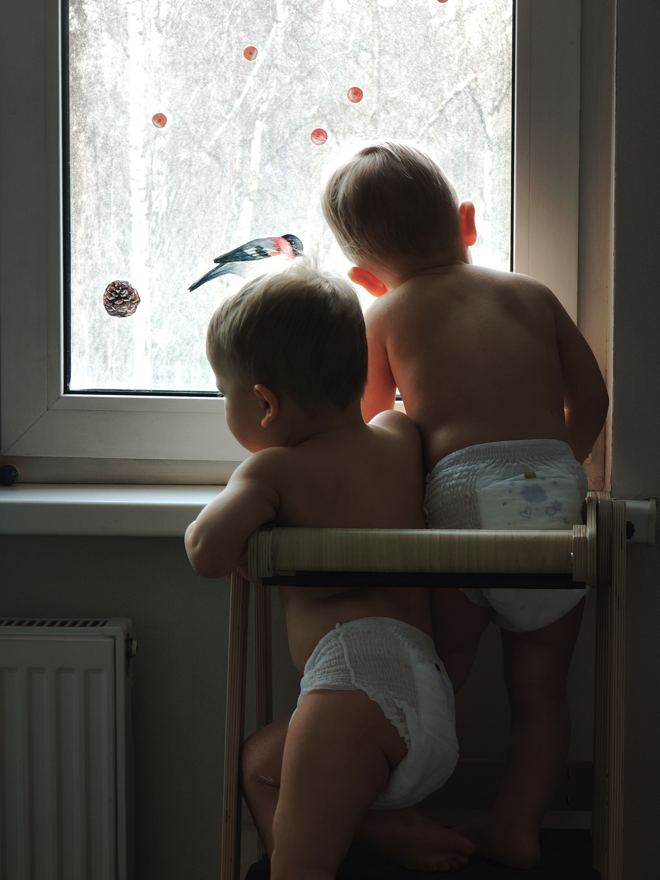 Фотограф в Санкт-Петербурге, Григорьева Светлана: от портрета до предметной съёмки