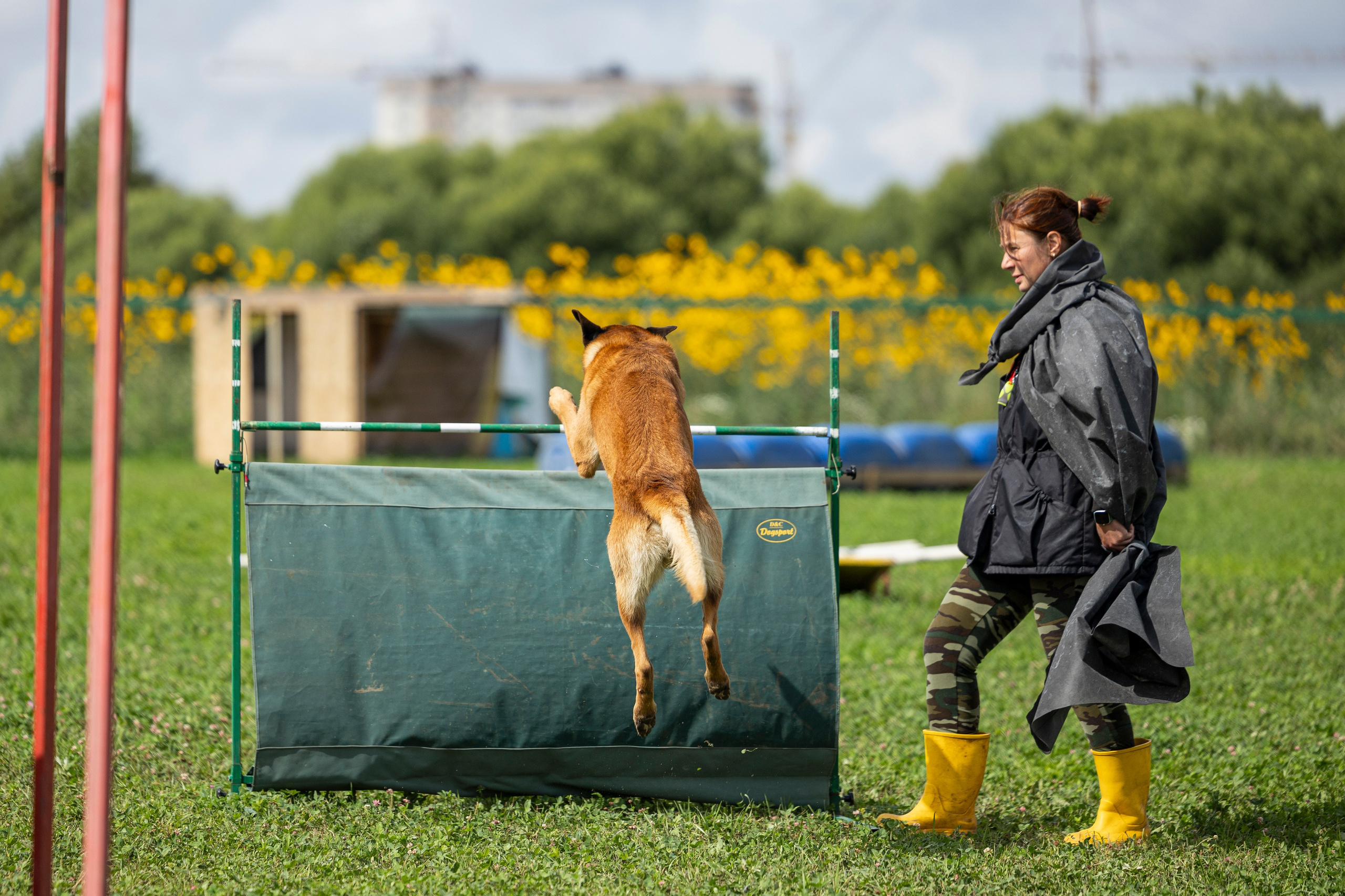Соревнования по Мондьорингу г. Вологда 10-11.08.2024. Фотограф-анималист Анна Маринич