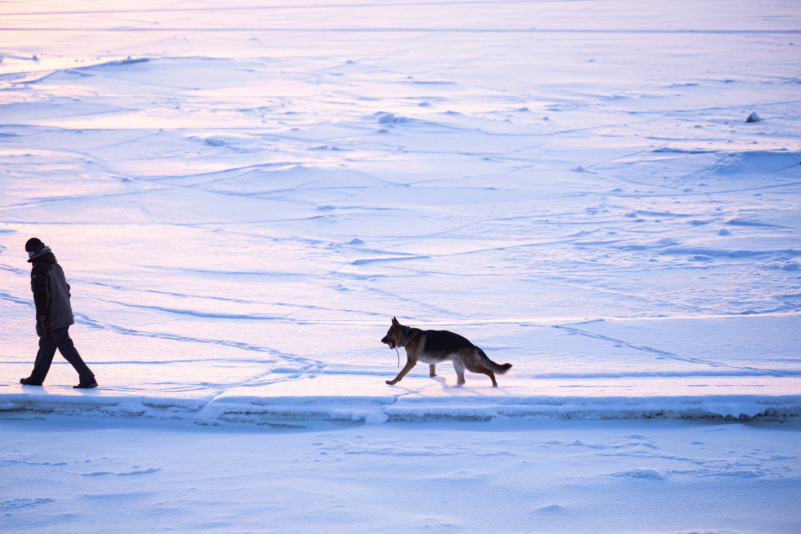 Рейн. Фотограф-анималист Анна Маринич