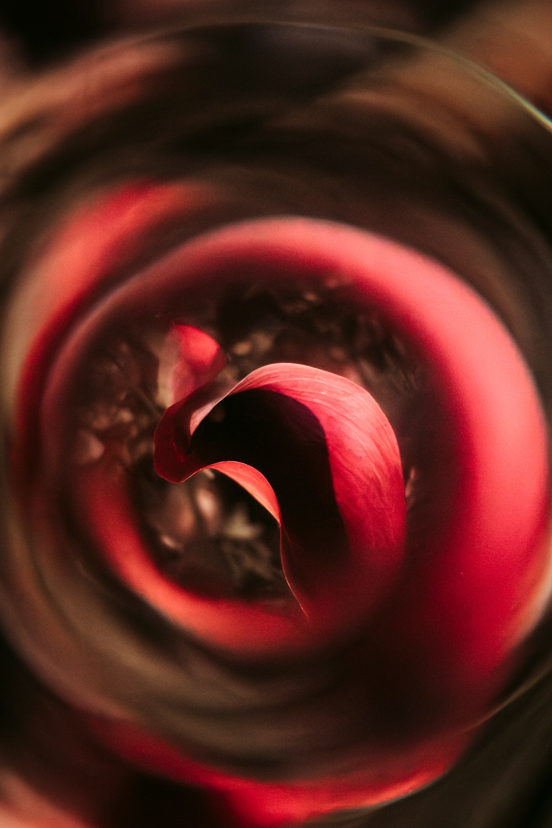 Цветочный андеграунд. Главная