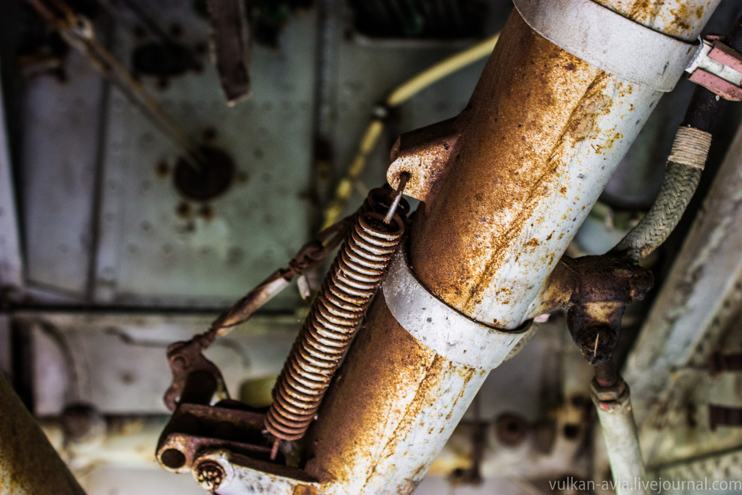 Ил-14 (Пермь, Фролы). Фотоальбом показывающий увлекательный мир авиации и мир медведей Андрея Иванова