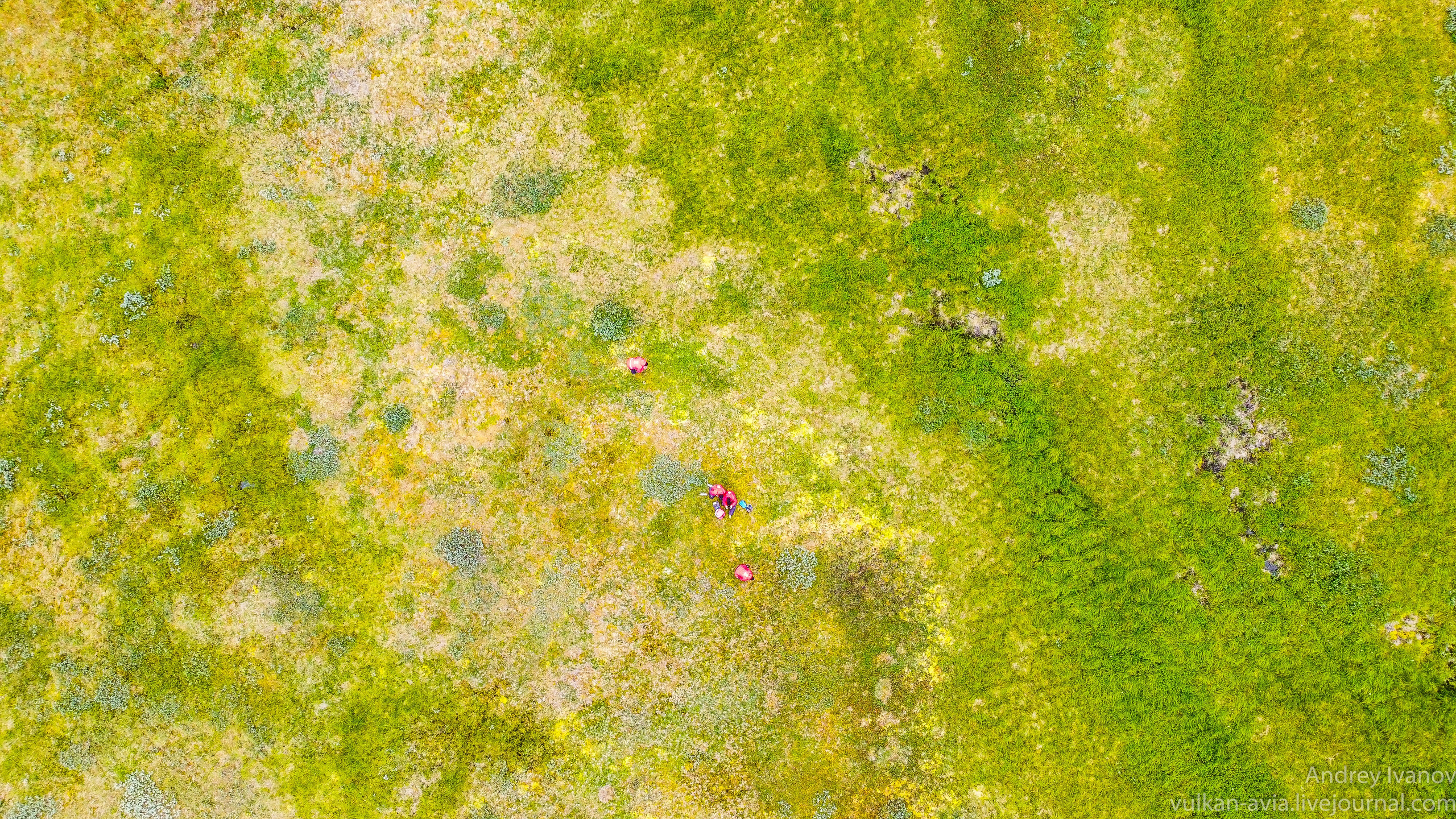 Амдерма — наука (2020 г.). Фотоальбом показывающий увлекательный мир авиации и мир медведей Андрея Иванова