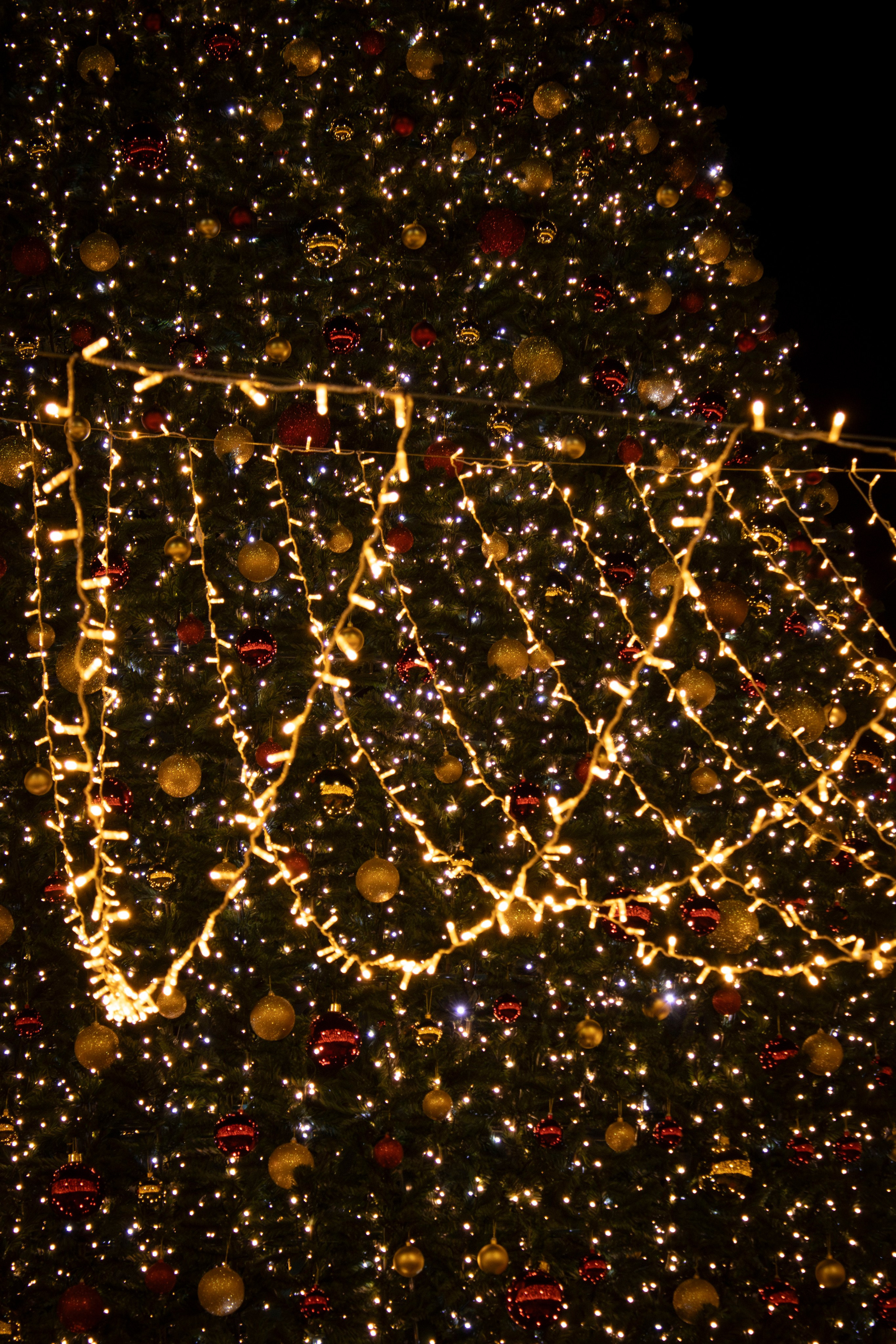 Новогодняя вылазка 2024. Фотограф г. Владивосток