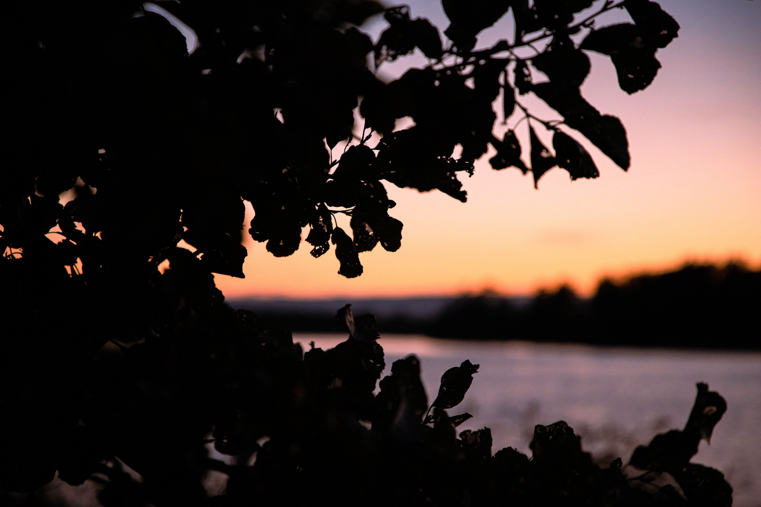 Вуокса. Фотограф Алексей Шуля — портфолио