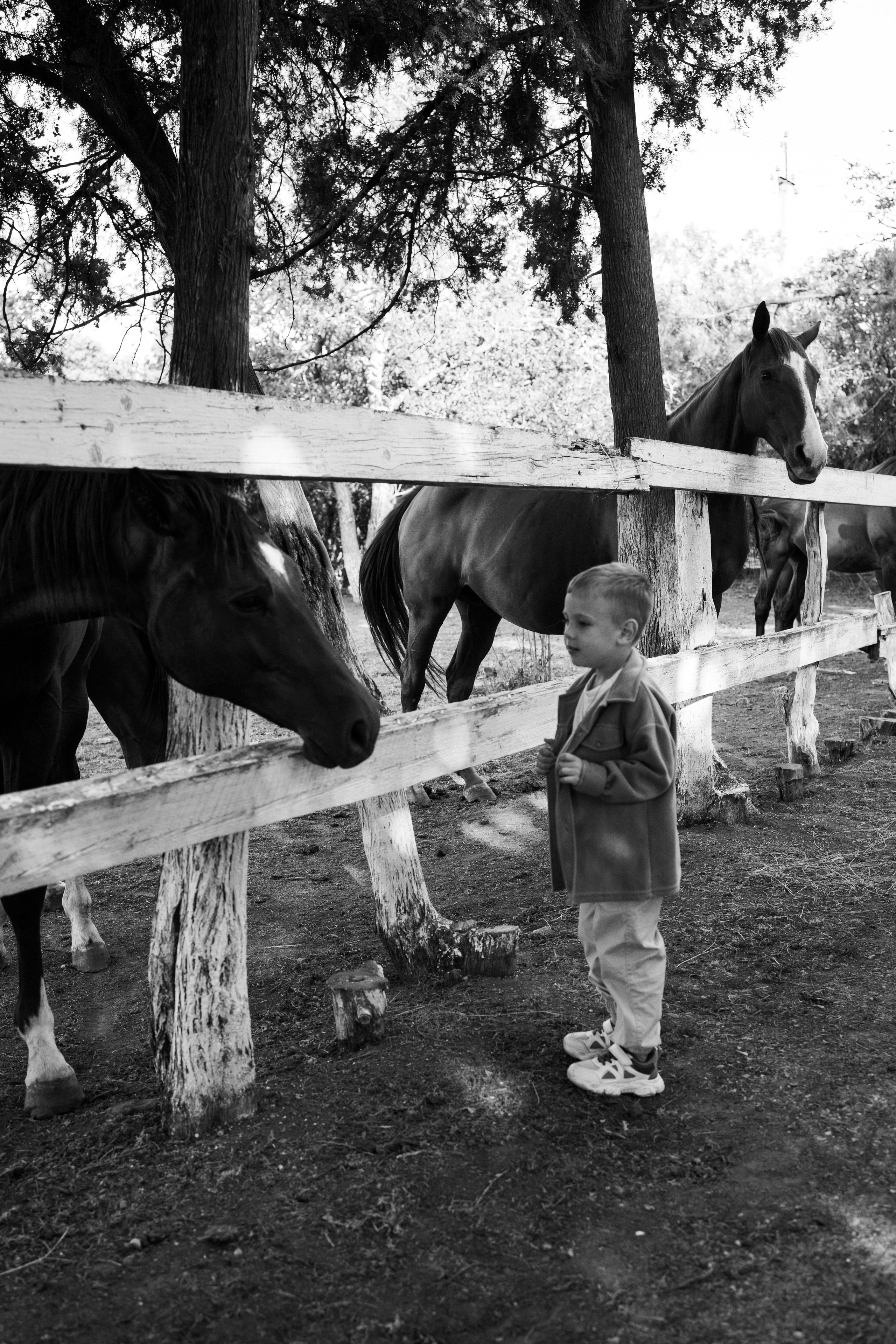 Семейные. Семейный фотограф Краснодар. Екатерина Акчурина